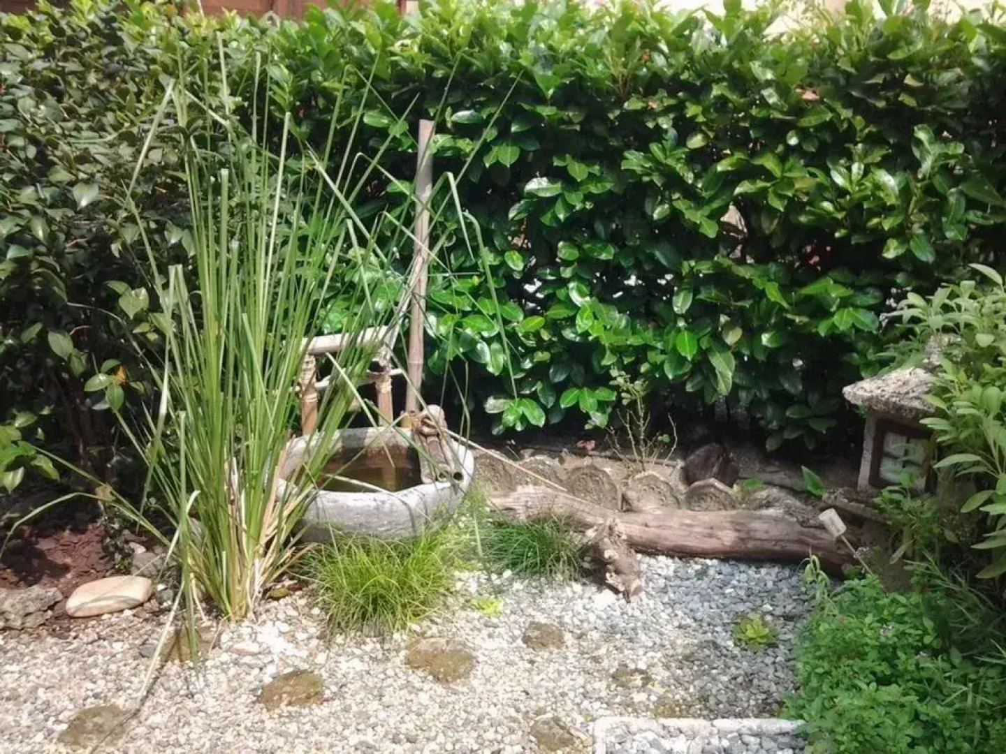 Colazione da Augusta