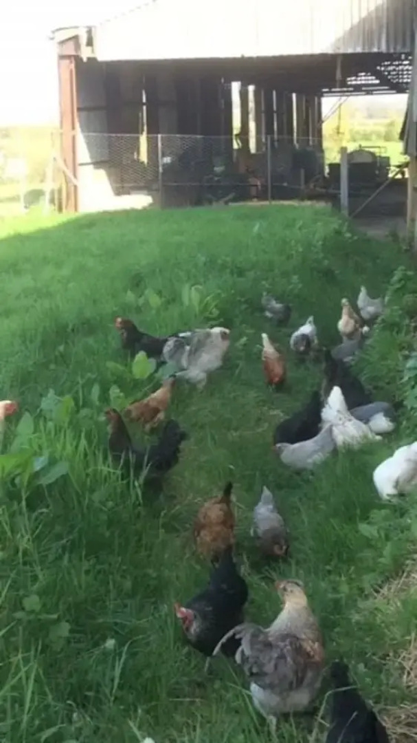 Rendham Hall Bed & Breakfast