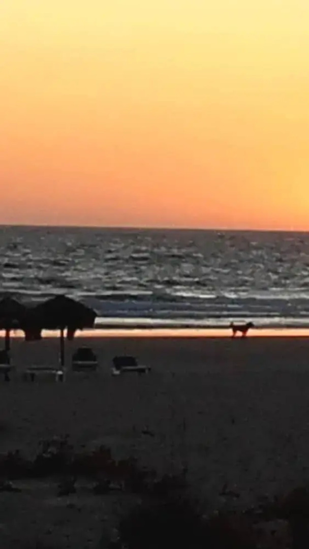 Apartment With one Bedroom in Tarifa, With Wonderful sea View, Pool Ac