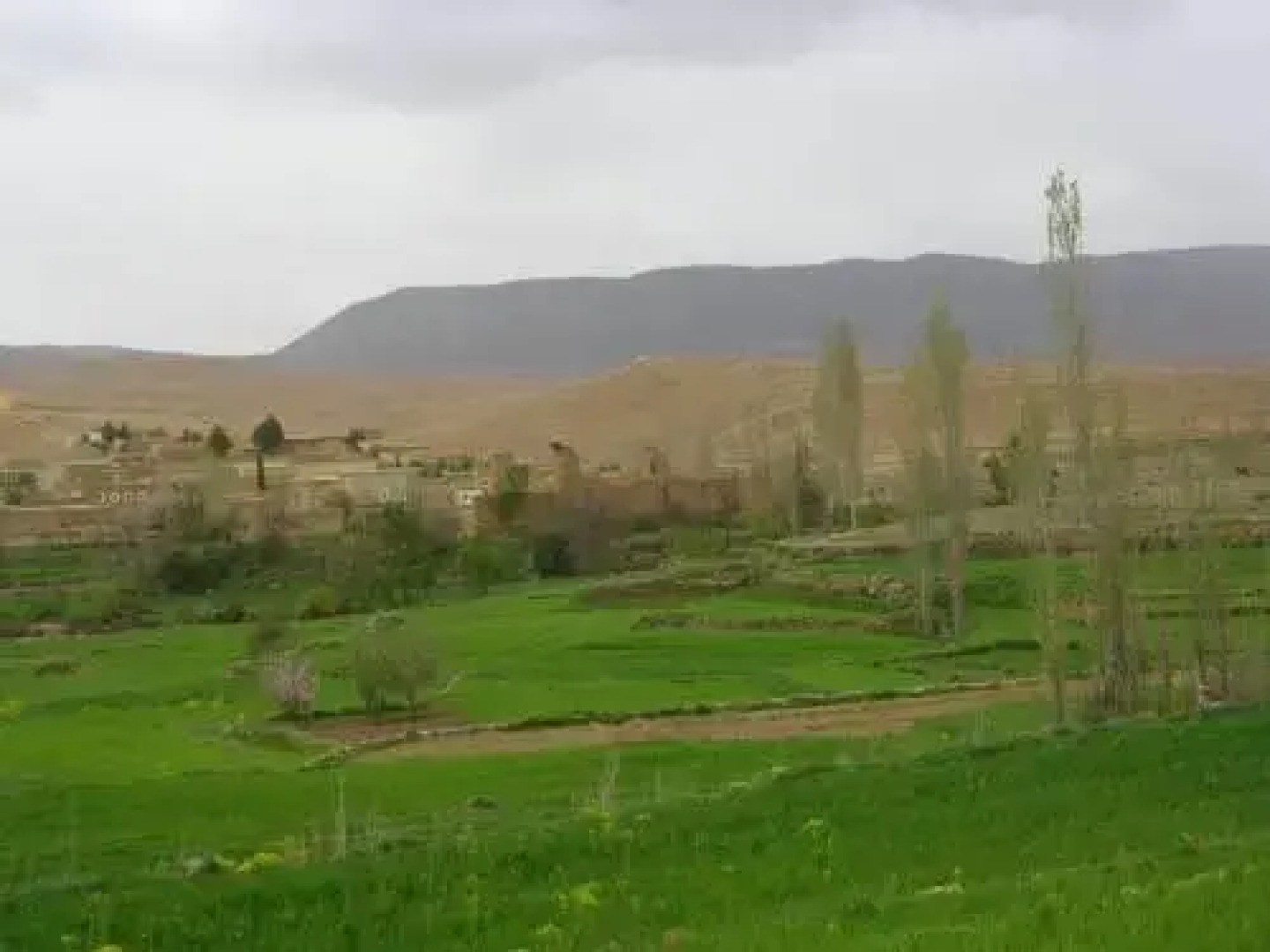 Gîte Tamazight Mellouki