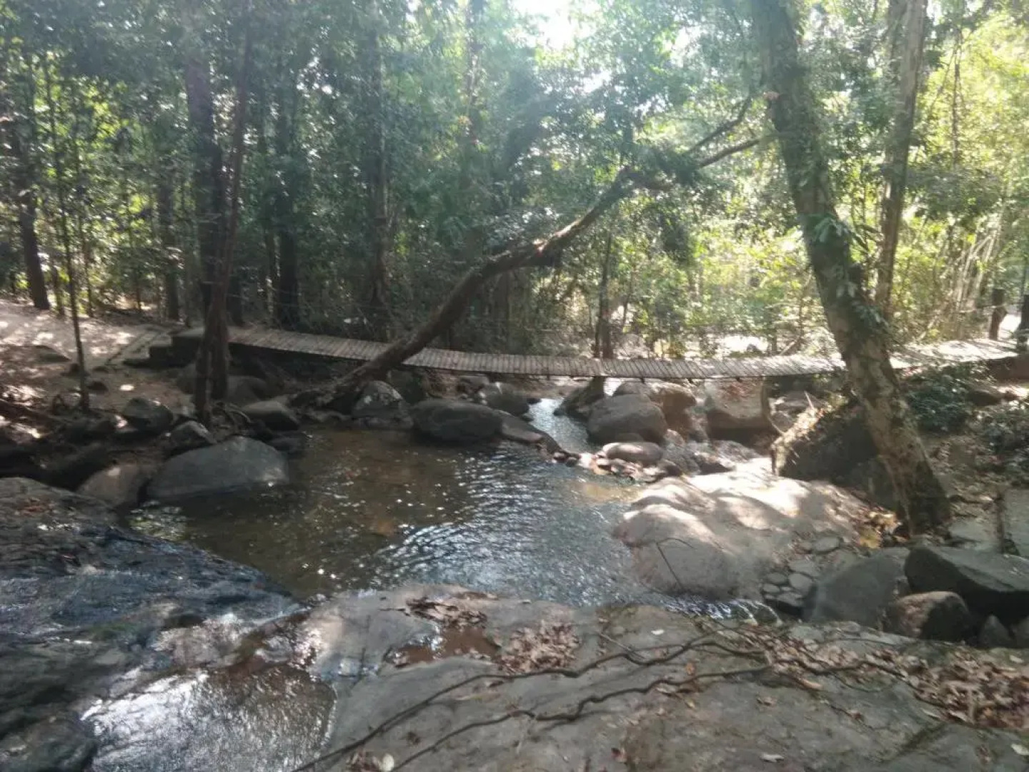 Wilderness Mountain View