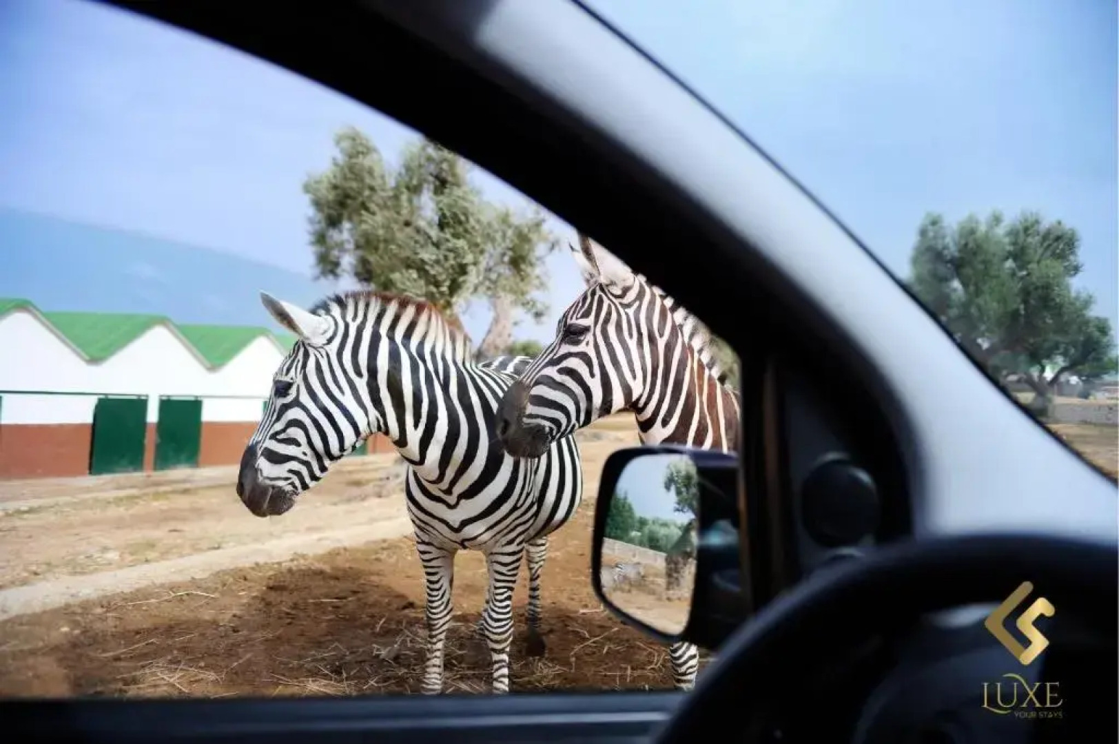 Duplex Apartments By Luxe Your Stays- Sandwell, West Bromwich