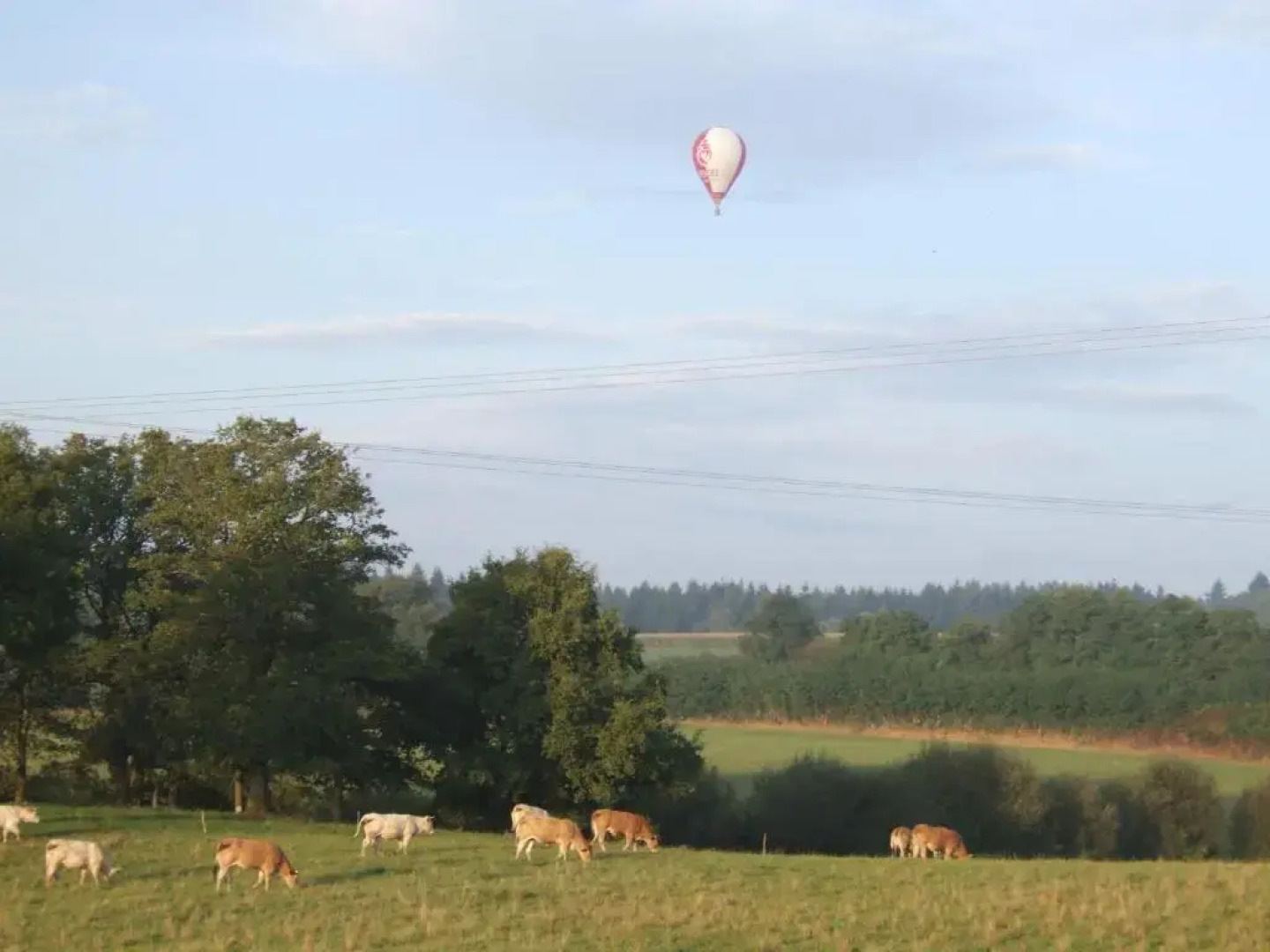 Le Puy Du Fou A Environ 5 Km Gîte 6 Personnes
