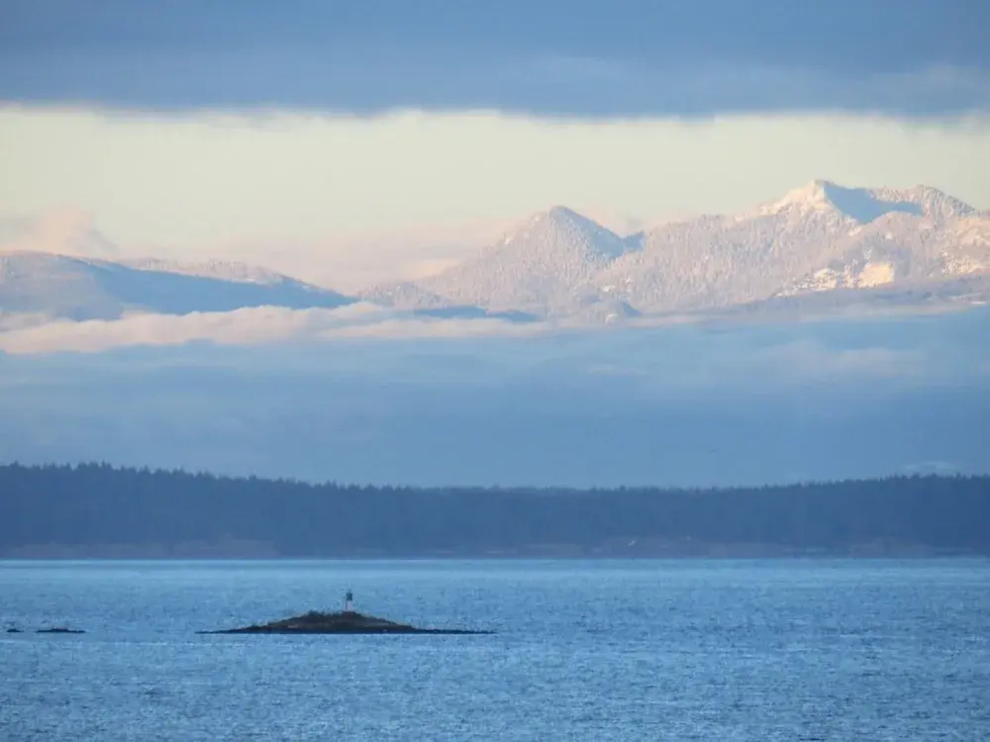 Coastal Lavender BnB