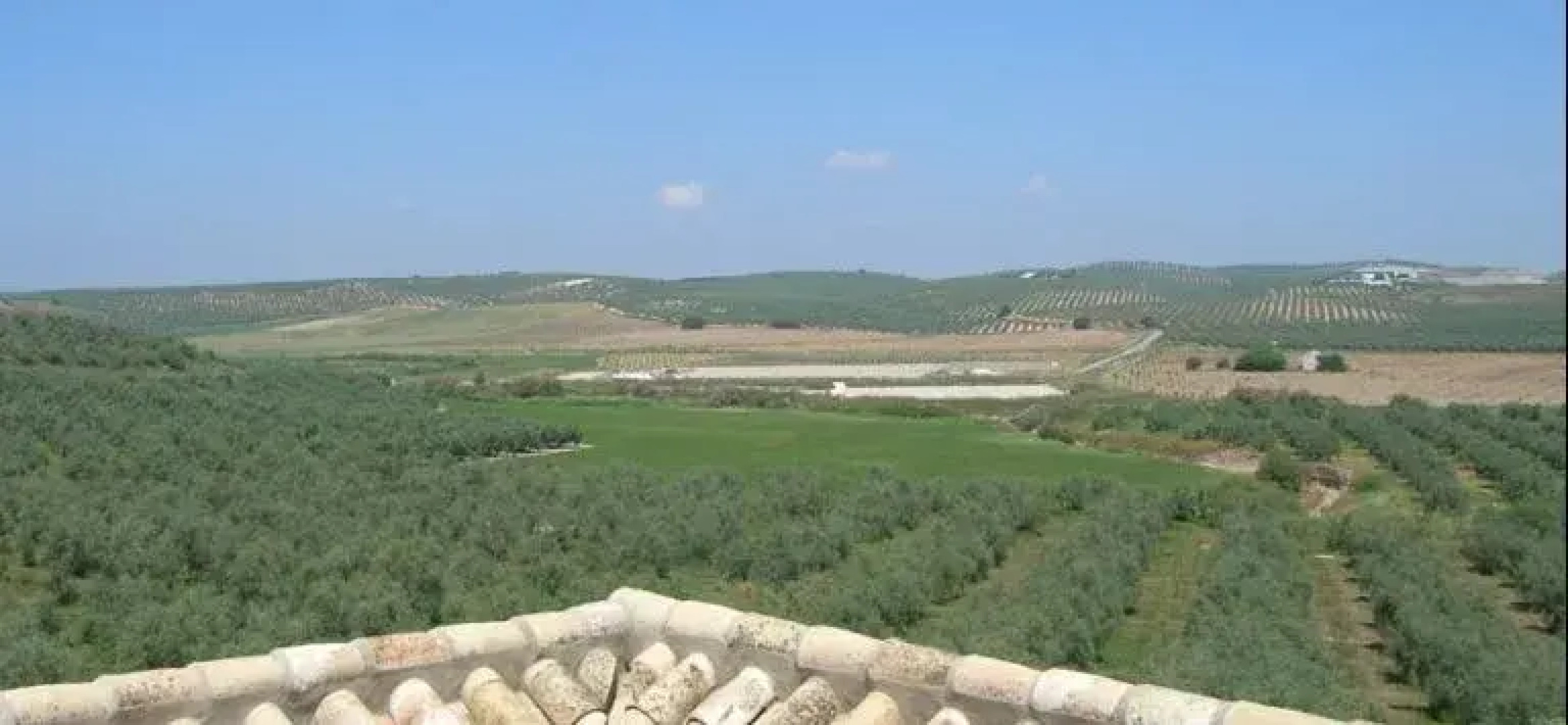 Cortijo San Francisco