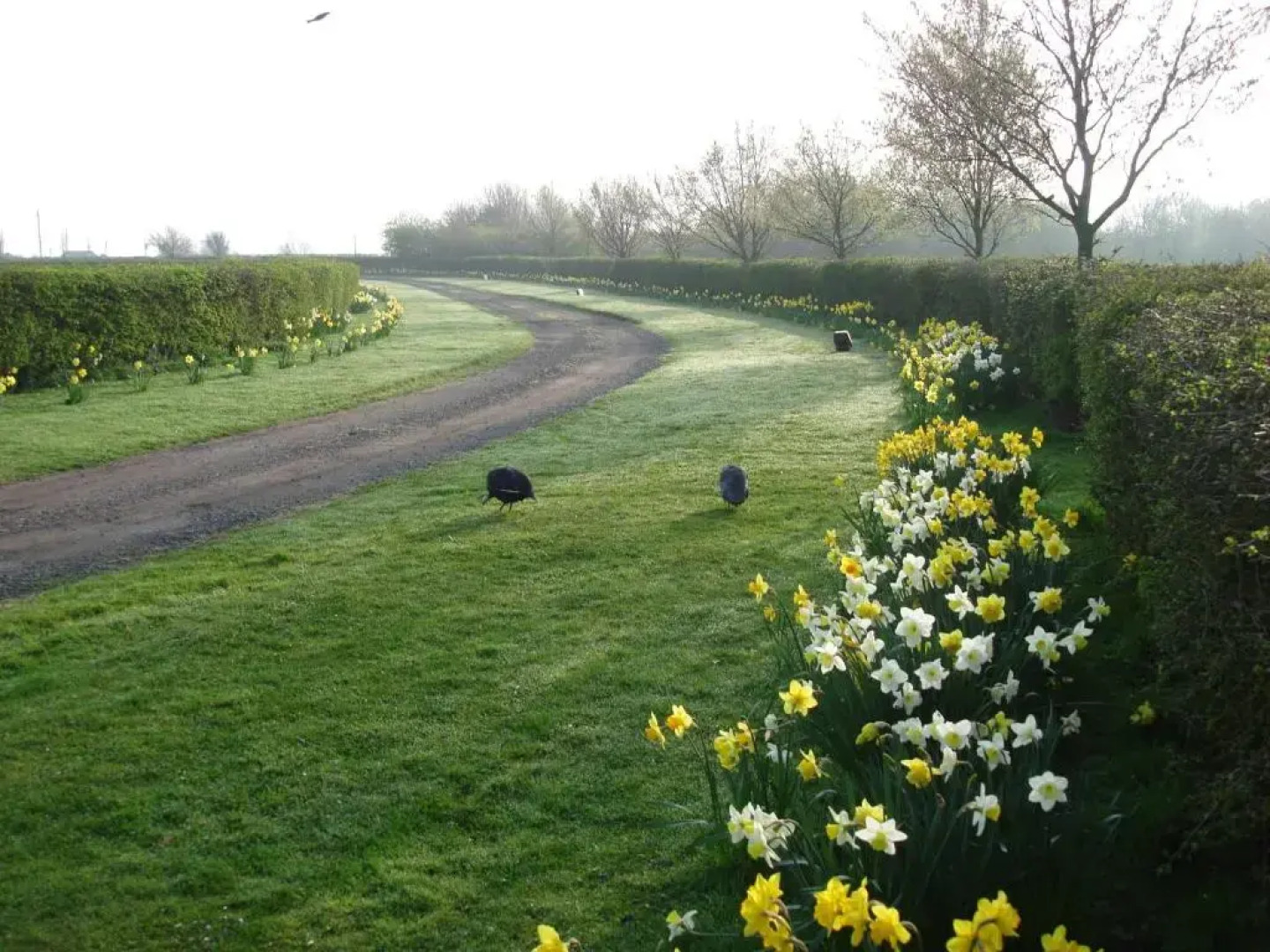 Pointers Guest House