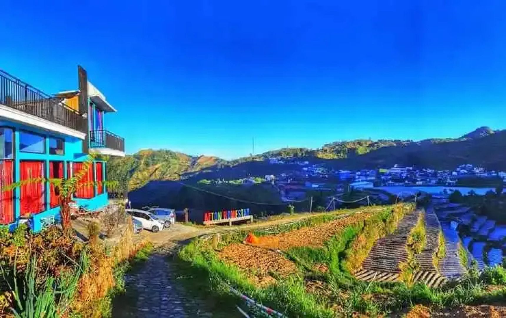 Afton Homestay Sikunir