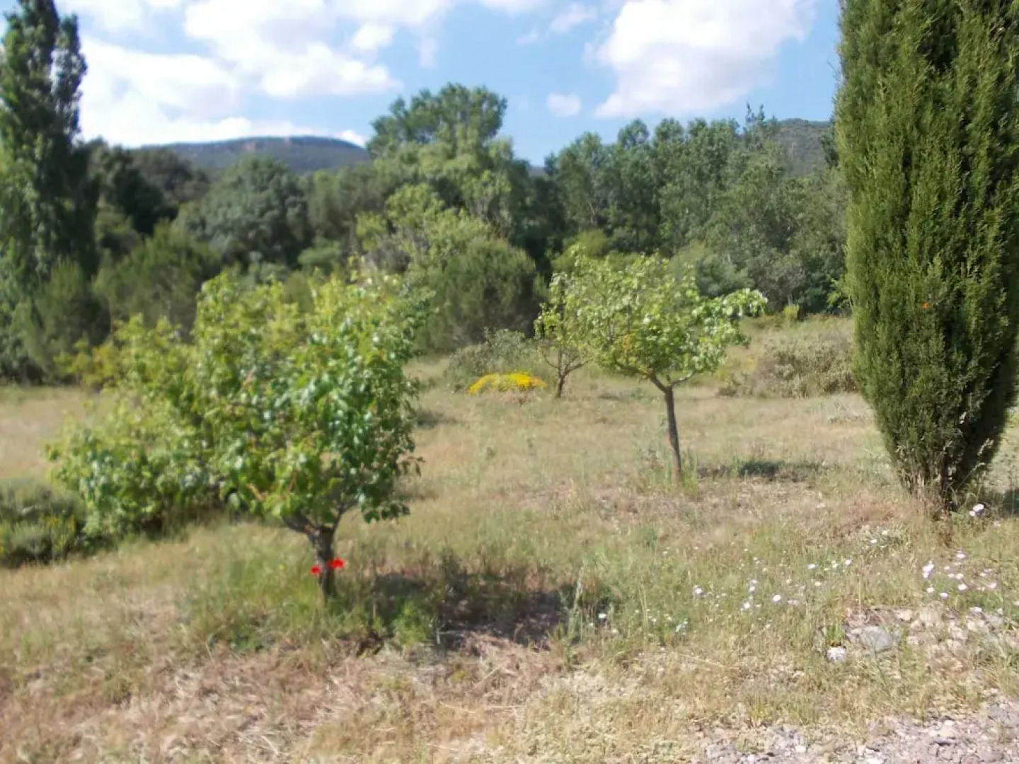 Maset de les Talaveres