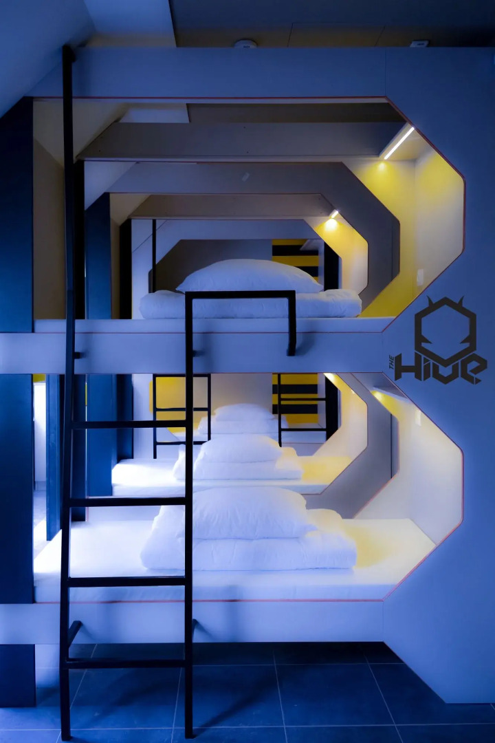 The Hive Party Hostel