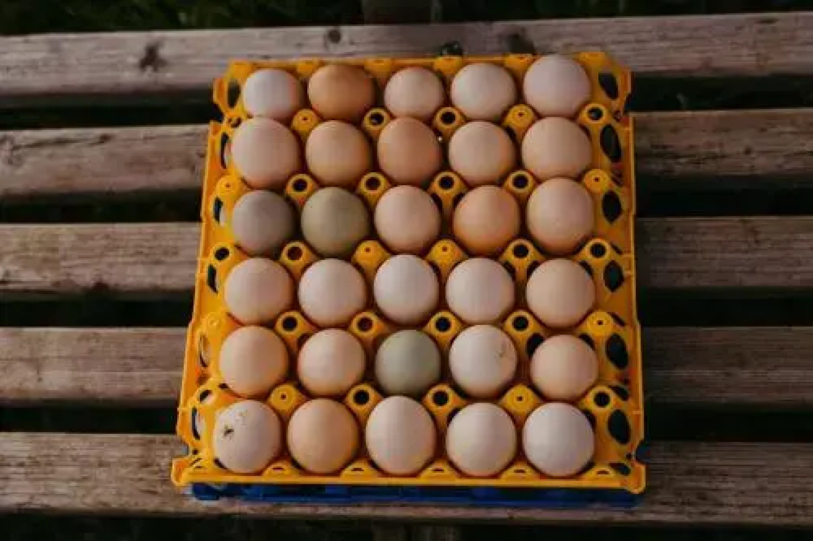 Ringhotel Johanniterbad