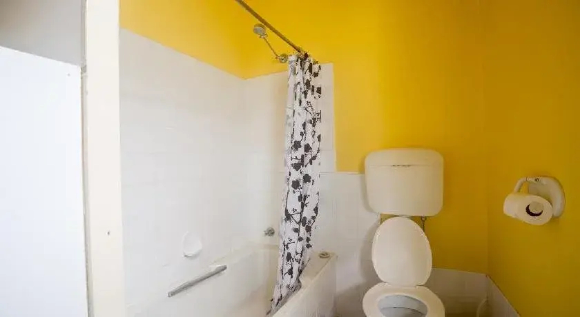 The Pickled Frog - Hostel