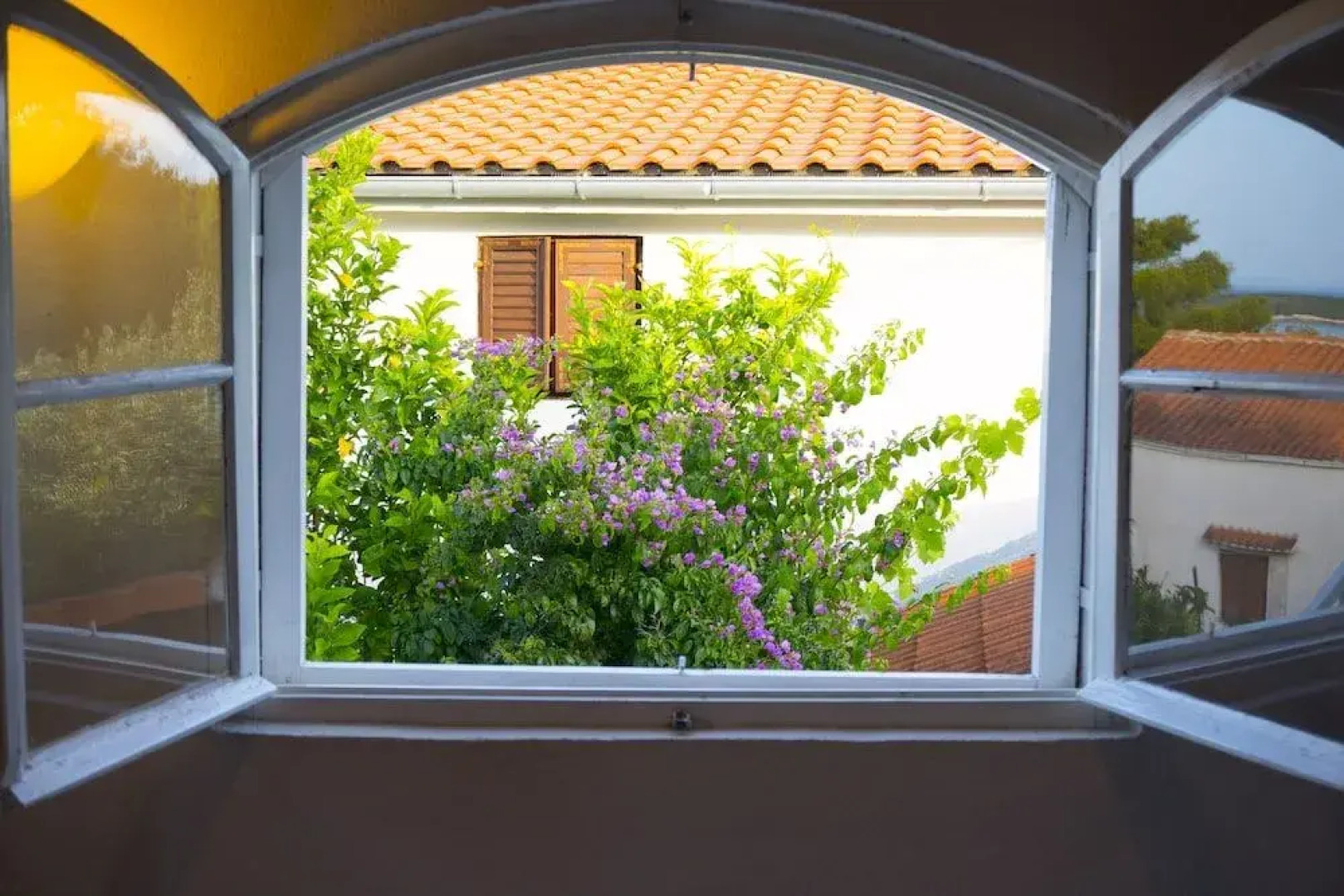 Victorious VIScovery Red