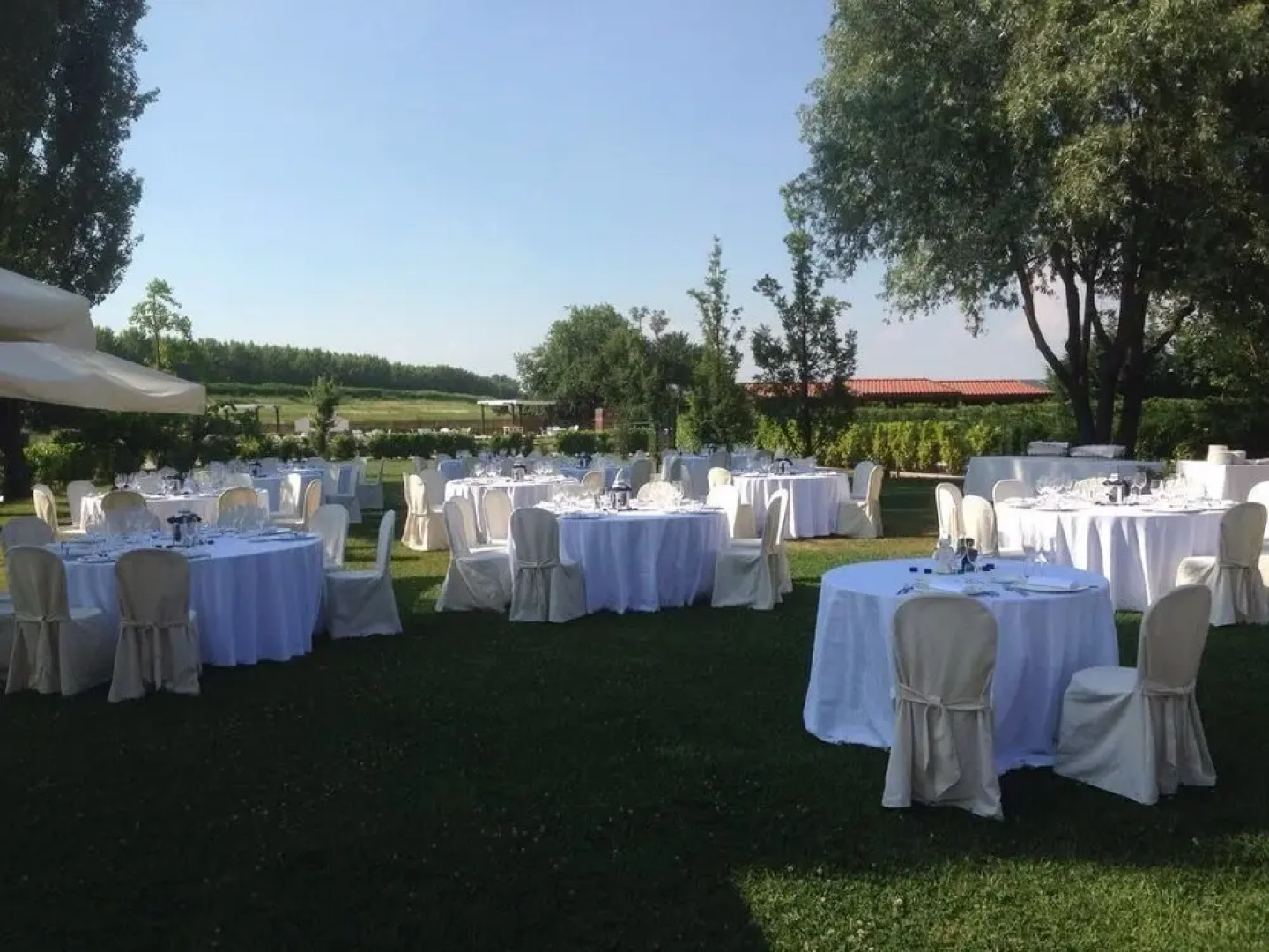 Conte Pietro Ferrara