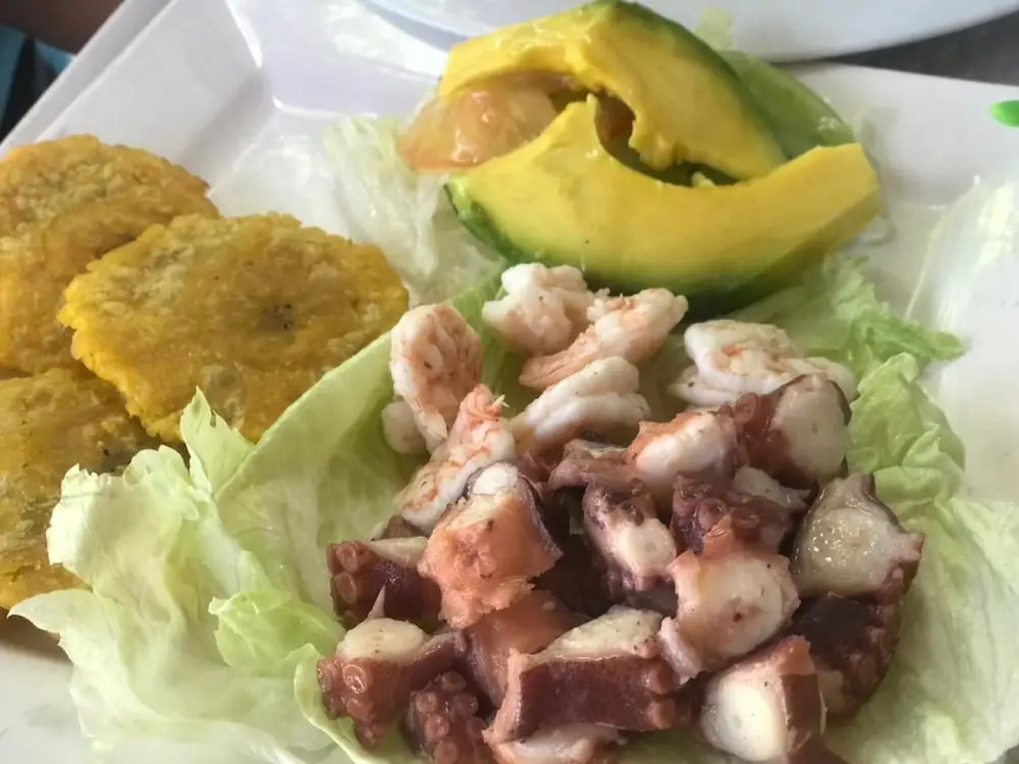 Eco Hotel Punta Nativa