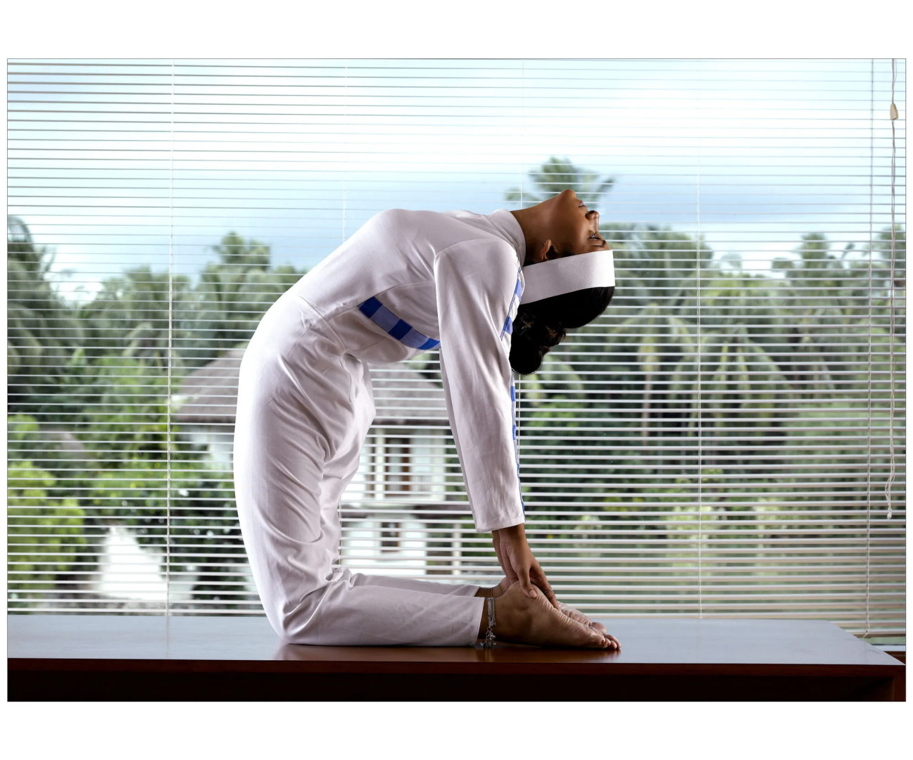 Vedic Village Spa Resort