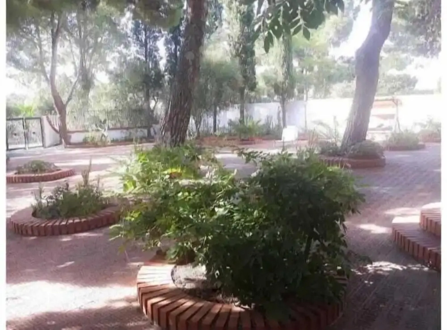 Villa Il Glicine Bed & Breakfast