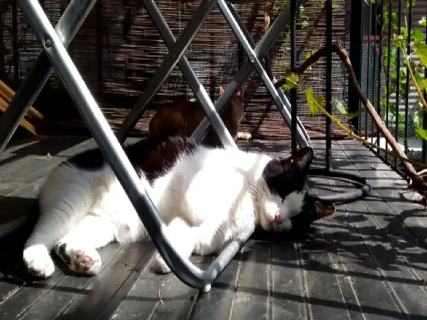 Kyoto Gion KIRAKU-INN - Hostel