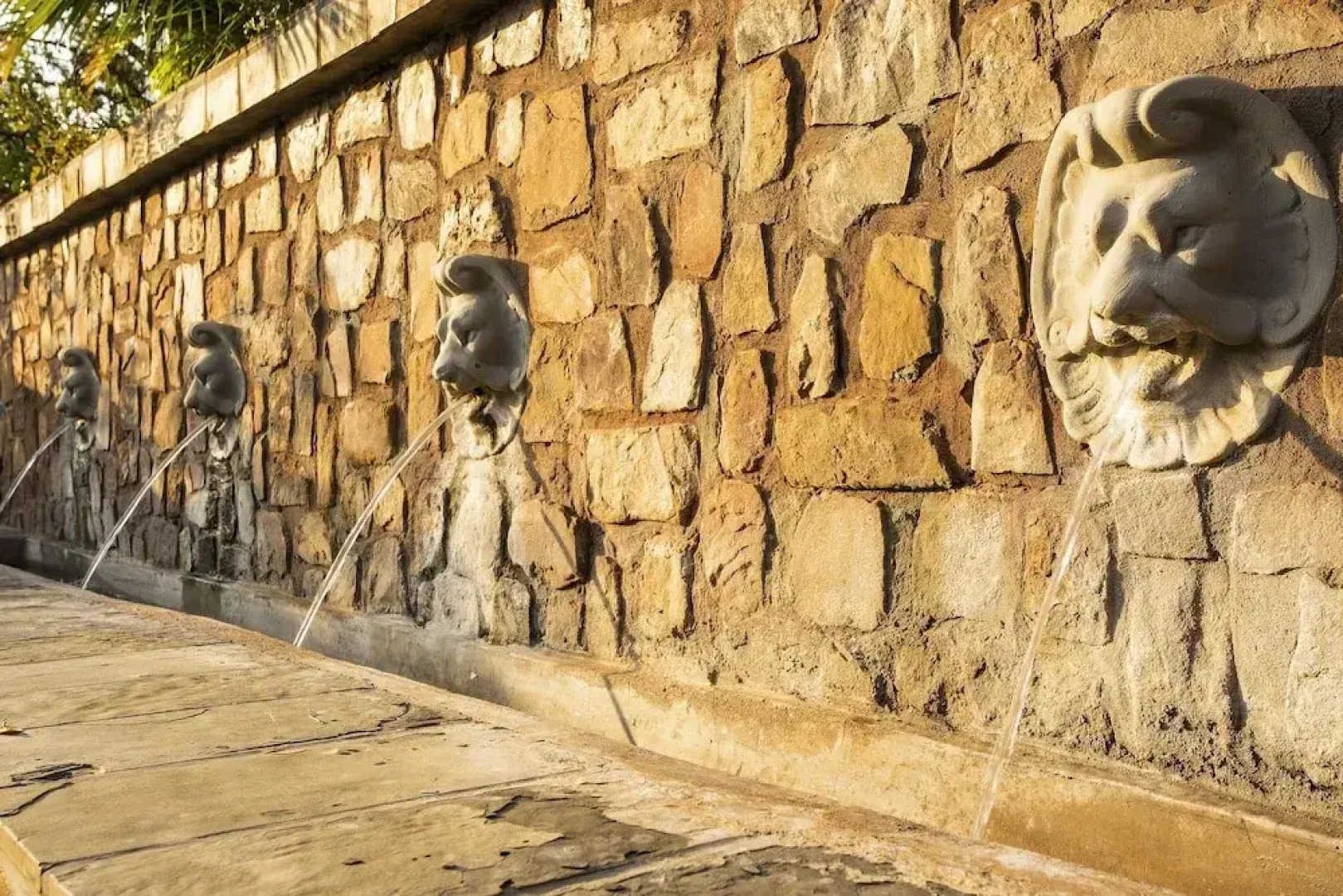 The Royal Palm Bed & Breakfast