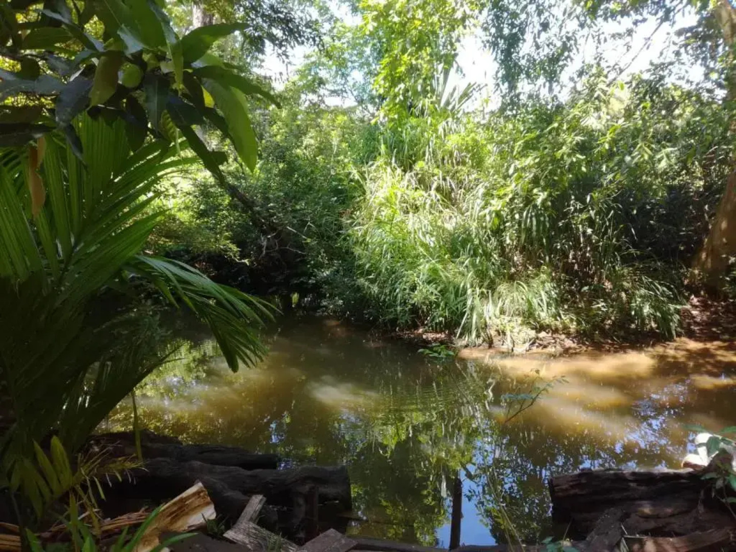 Coconut Haven Homestay