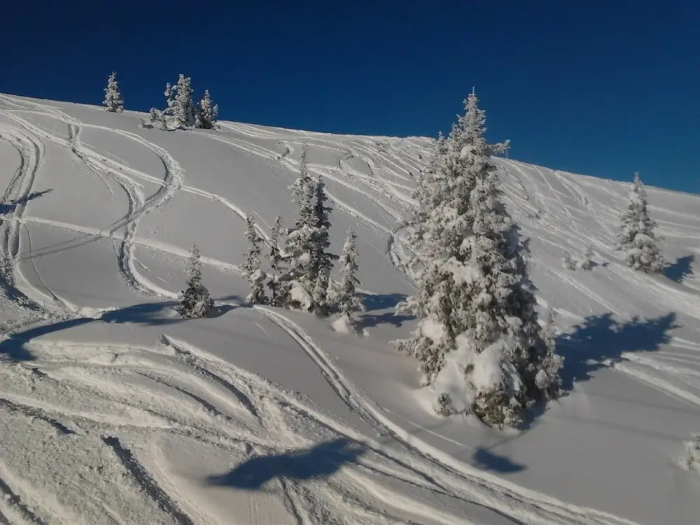 Wooden Chalet in Fusch an der Großglocknerstraße With Sauna