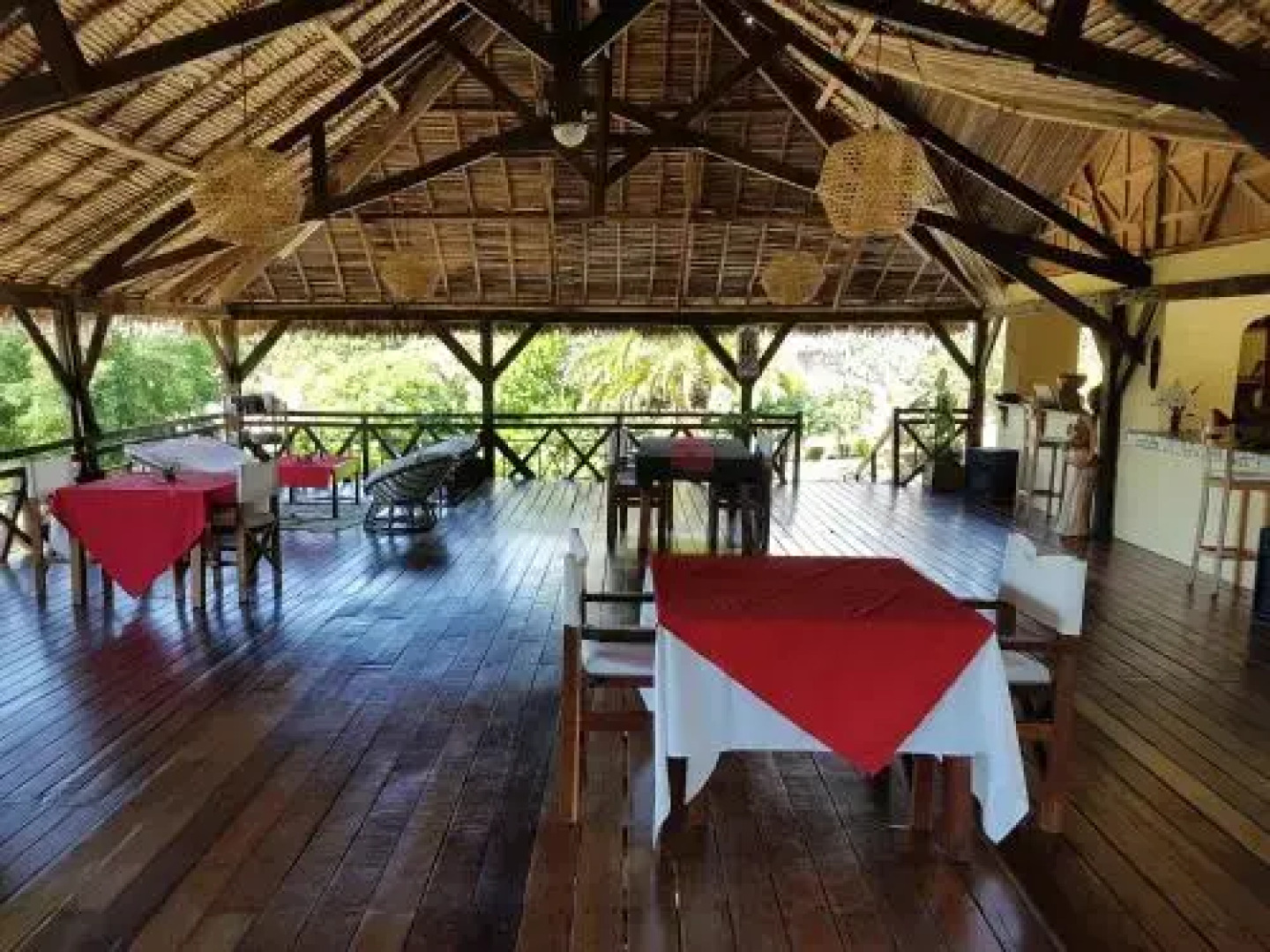 Les Dauphins De Nosy Be