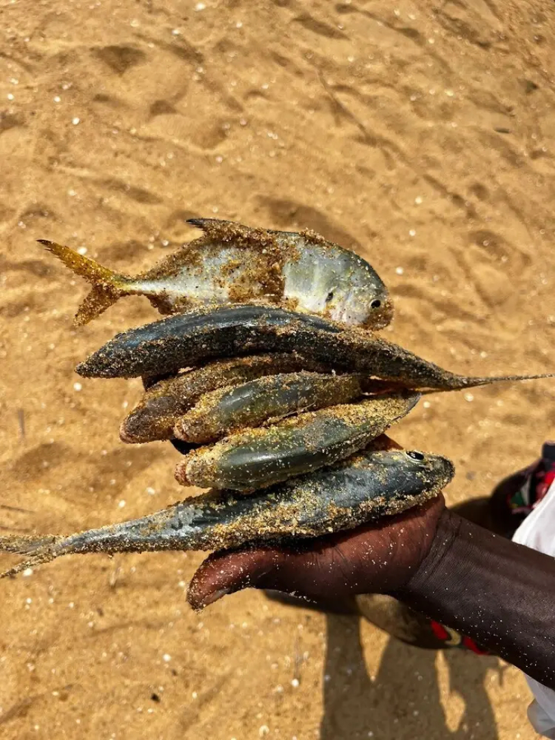 Village Kirikou