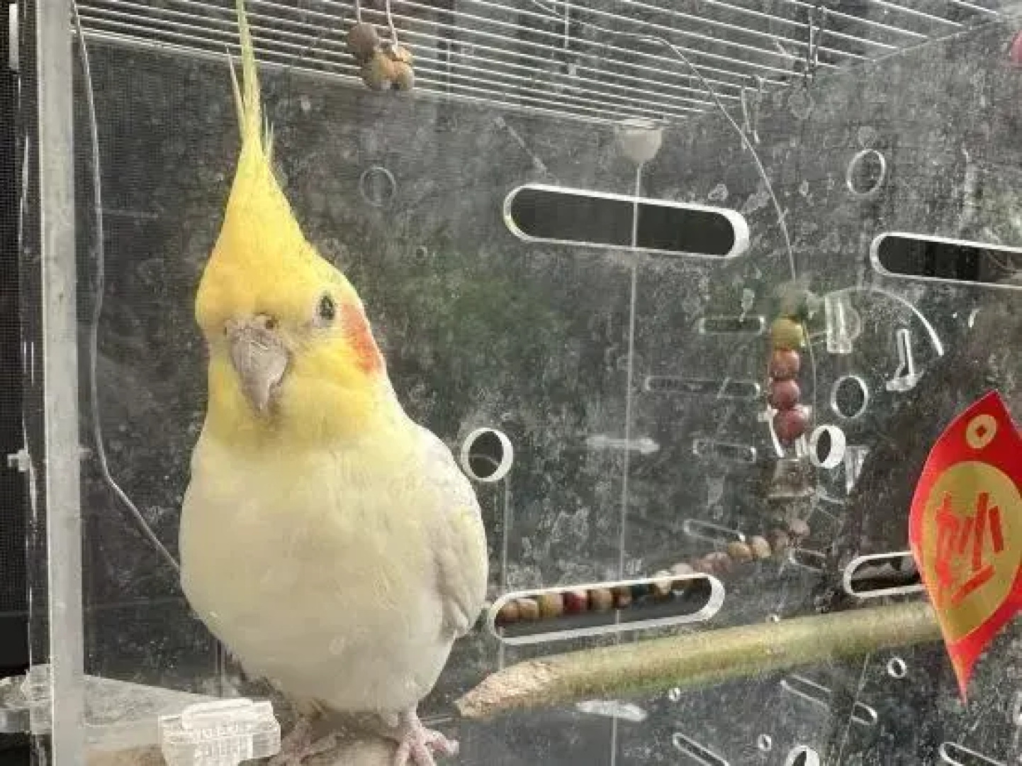 Wuzhishan Yisuli Theme Hotel