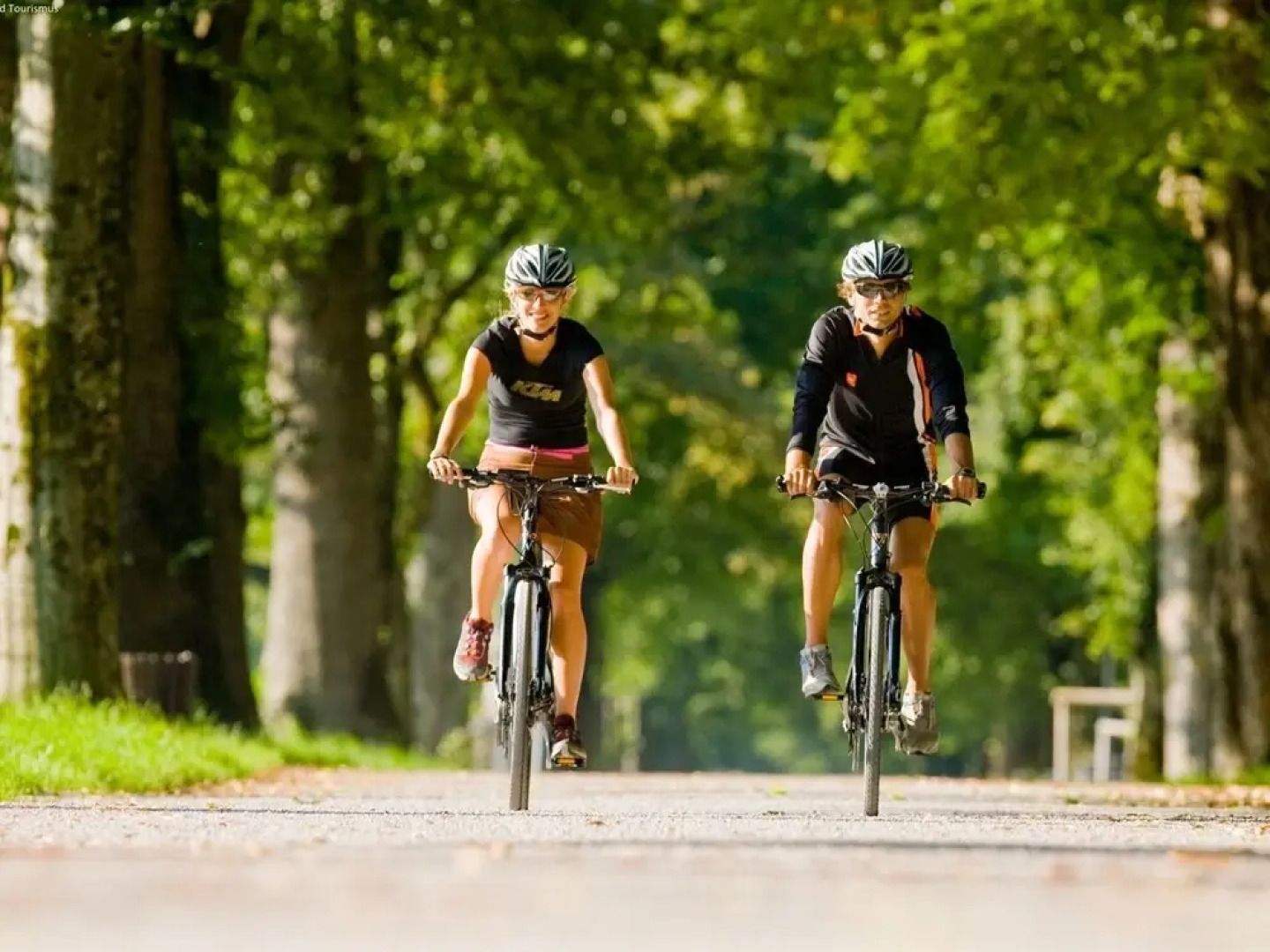 Warm Apartment in Ramsau am Dachstein With Garden