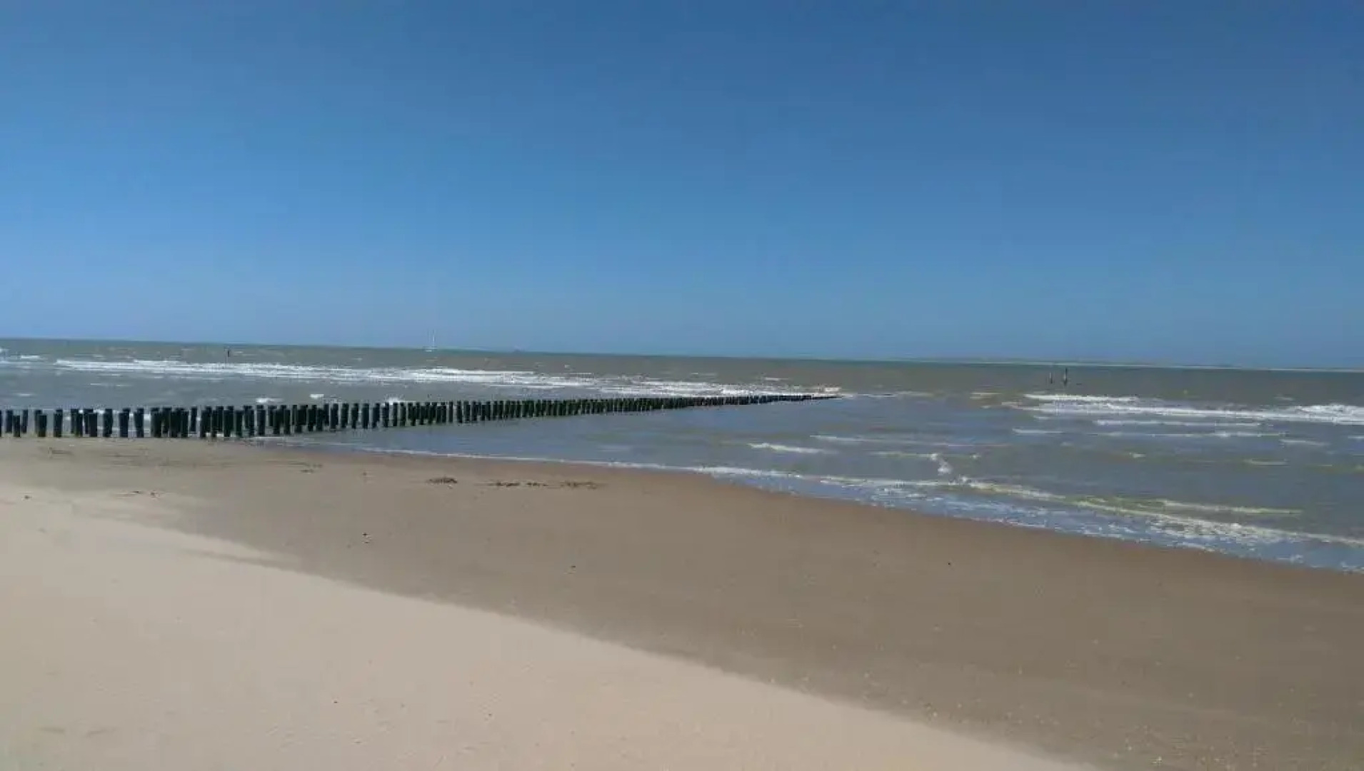 Park Schoneveld: Zeester 64