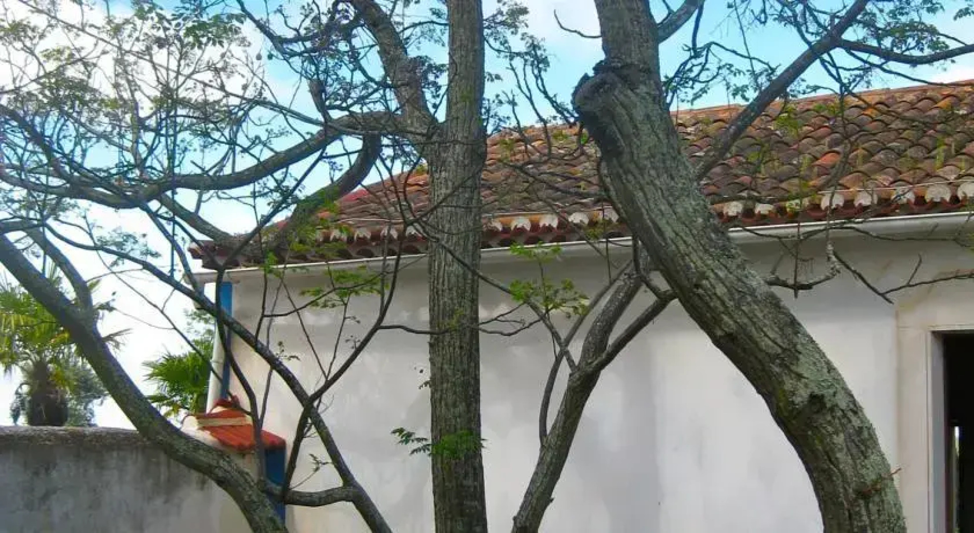 Monte da Crimeia Turismo Rural