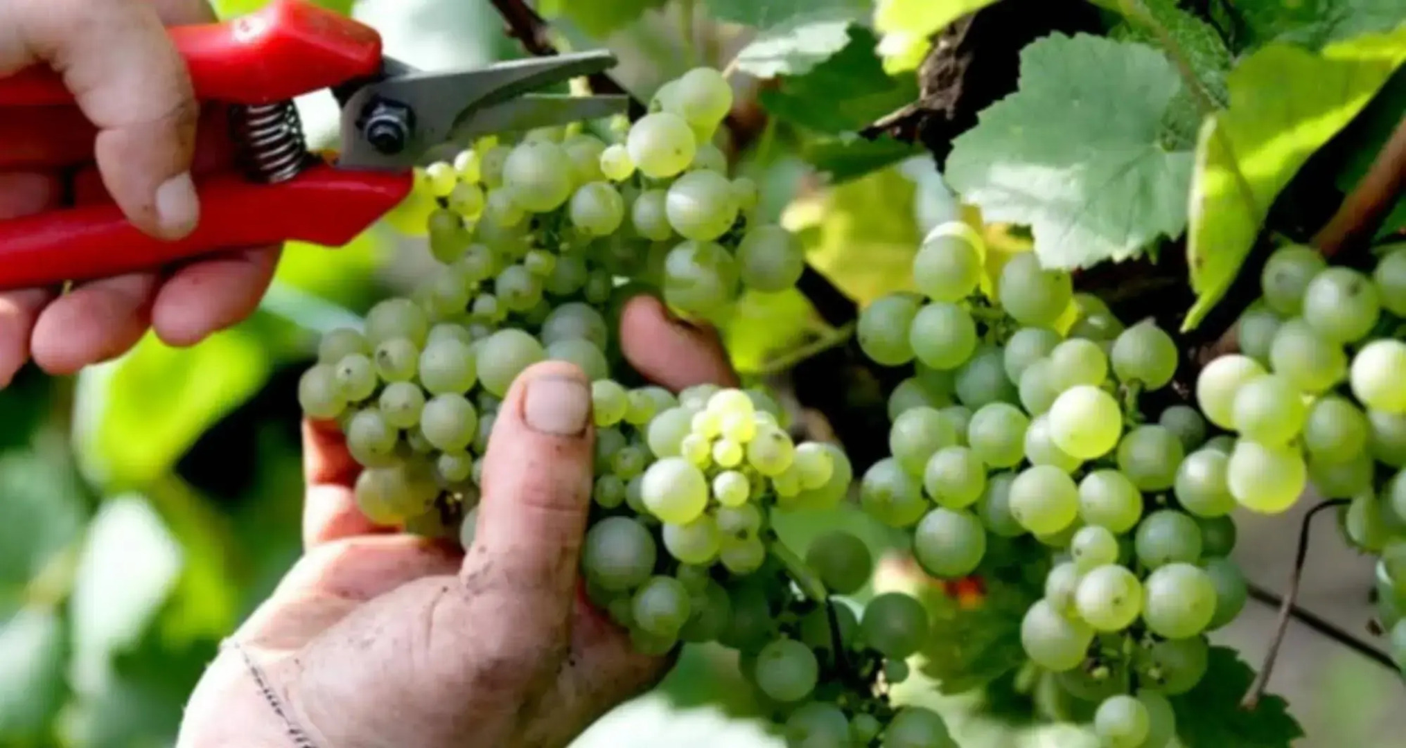 FASTHOTEL Reims Est - Taissy