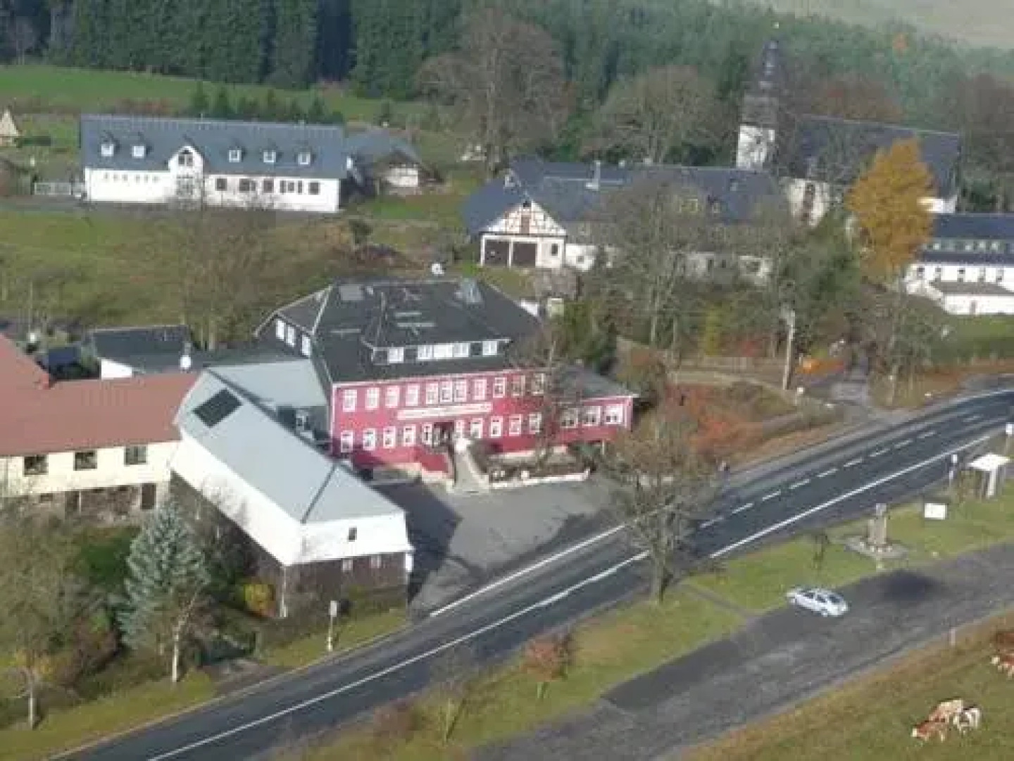 Zum Roten Hirsch im Grünen Wald