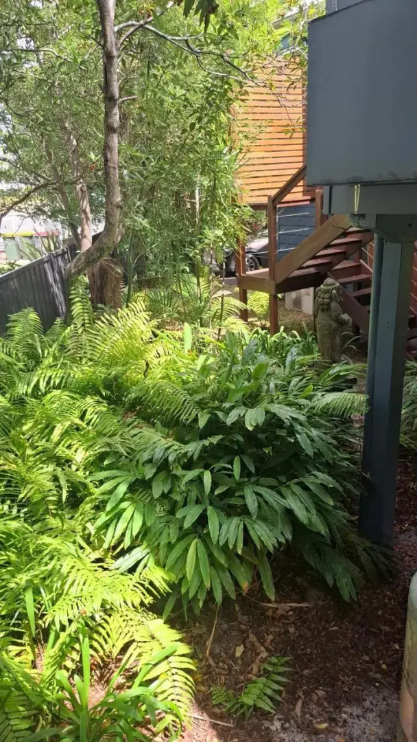 Wyreepi Carribean Chalet