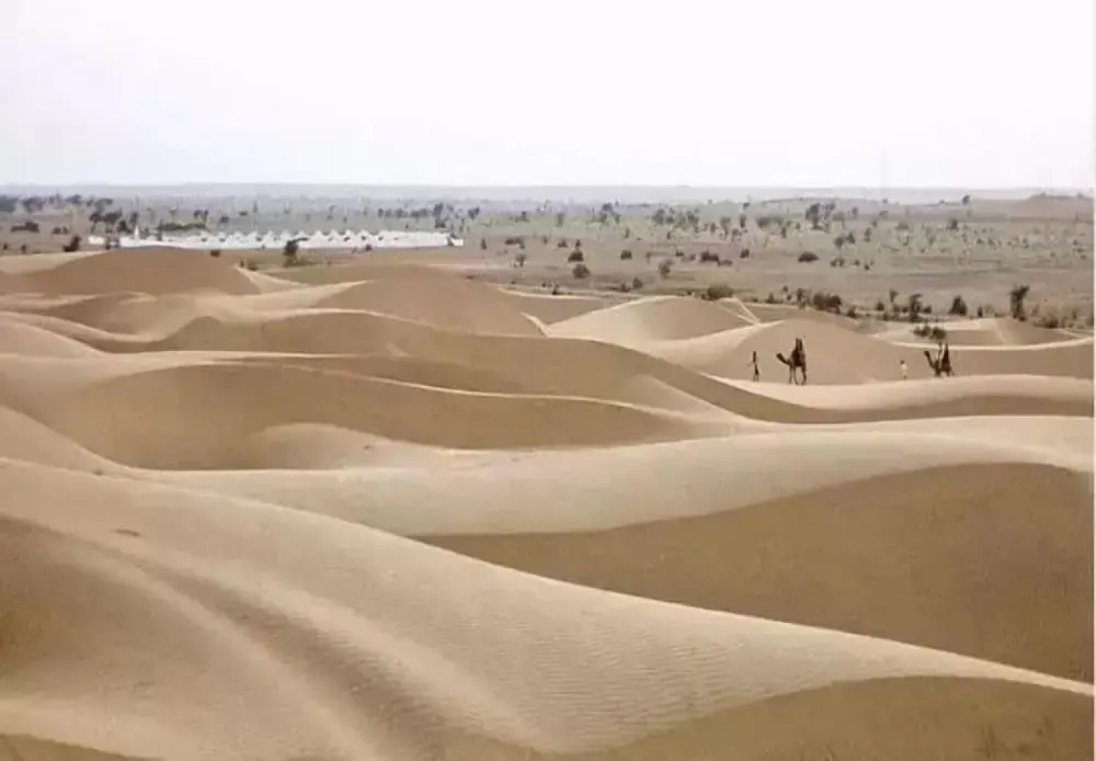 Anantra Resort Jaisalmer