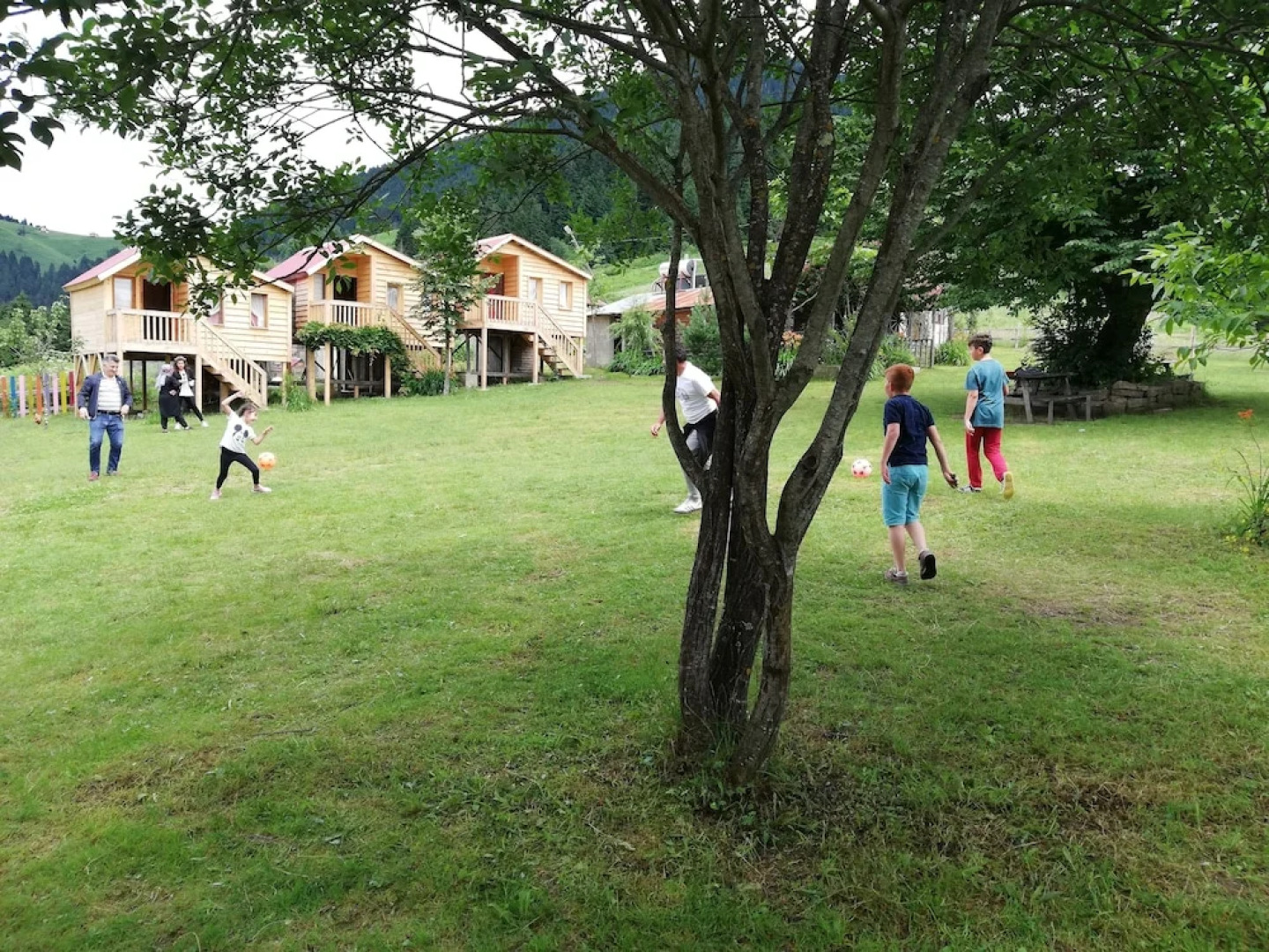 Pilav Dagi Yavuzyilmaz Tesisleri