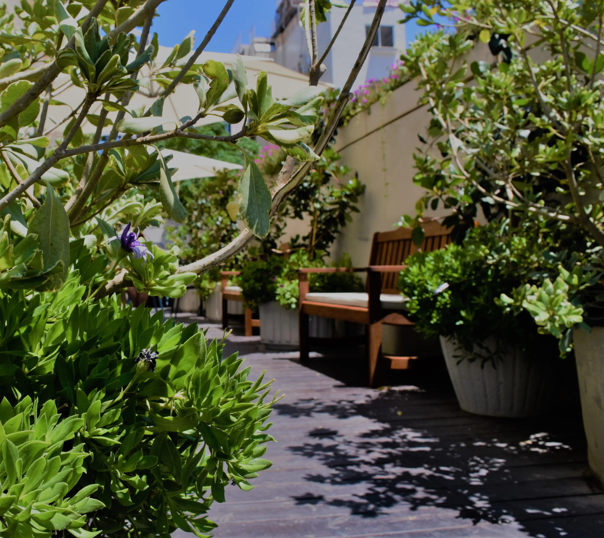 Sea Side by Zvieli Hotels