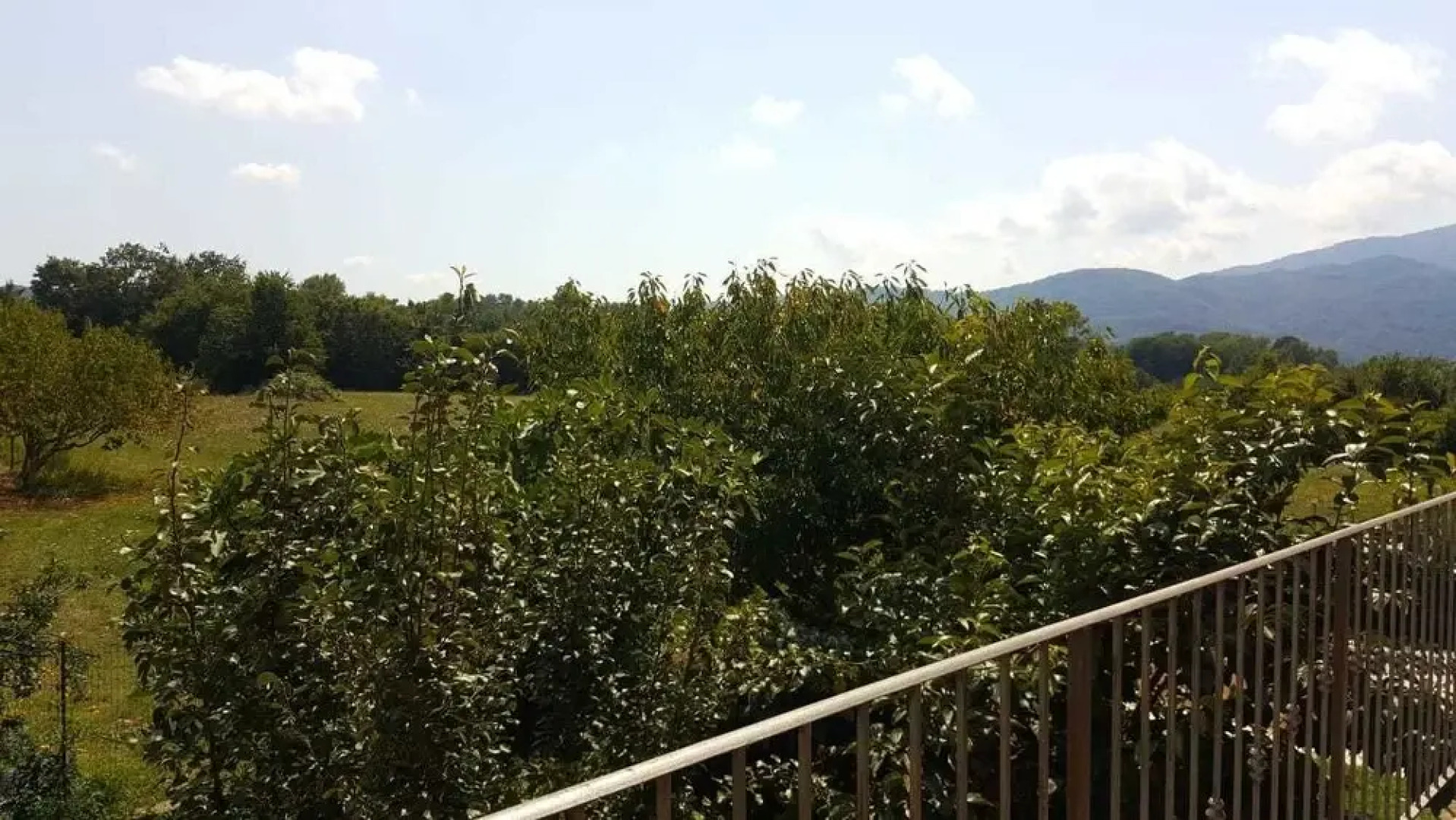 Il Folletto Dispettoso