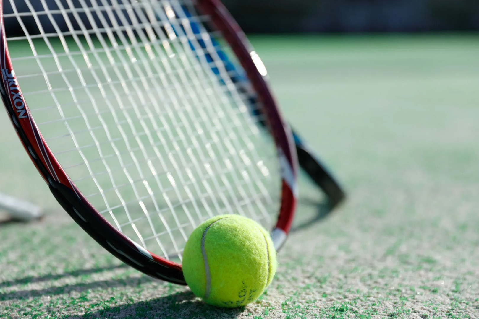 Miyako Resort Shima Bayside Terrace