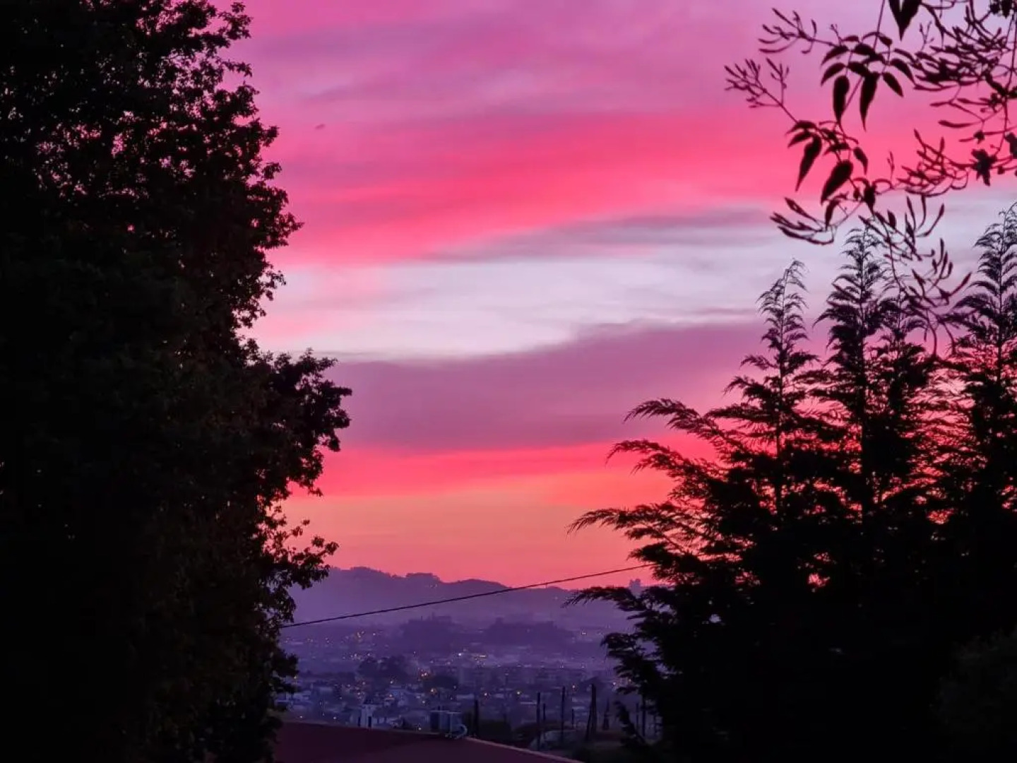Quinta das Essencias