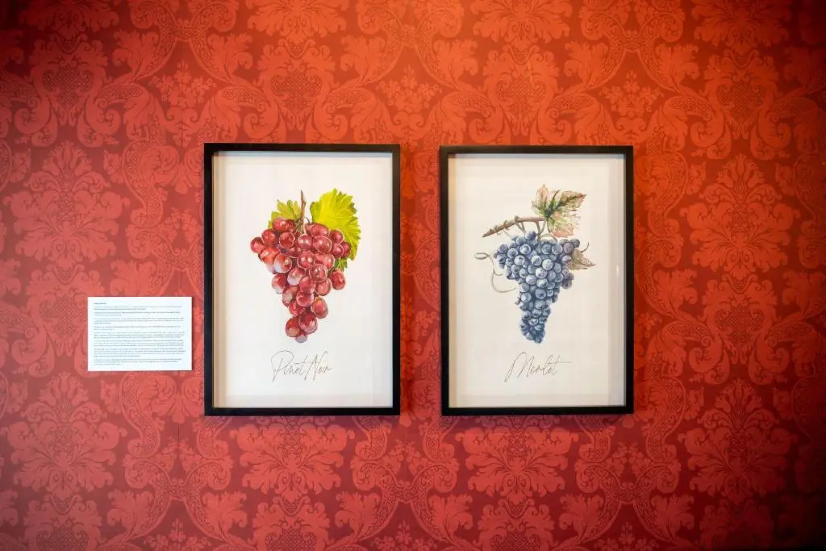 The White Swan Country Hotel