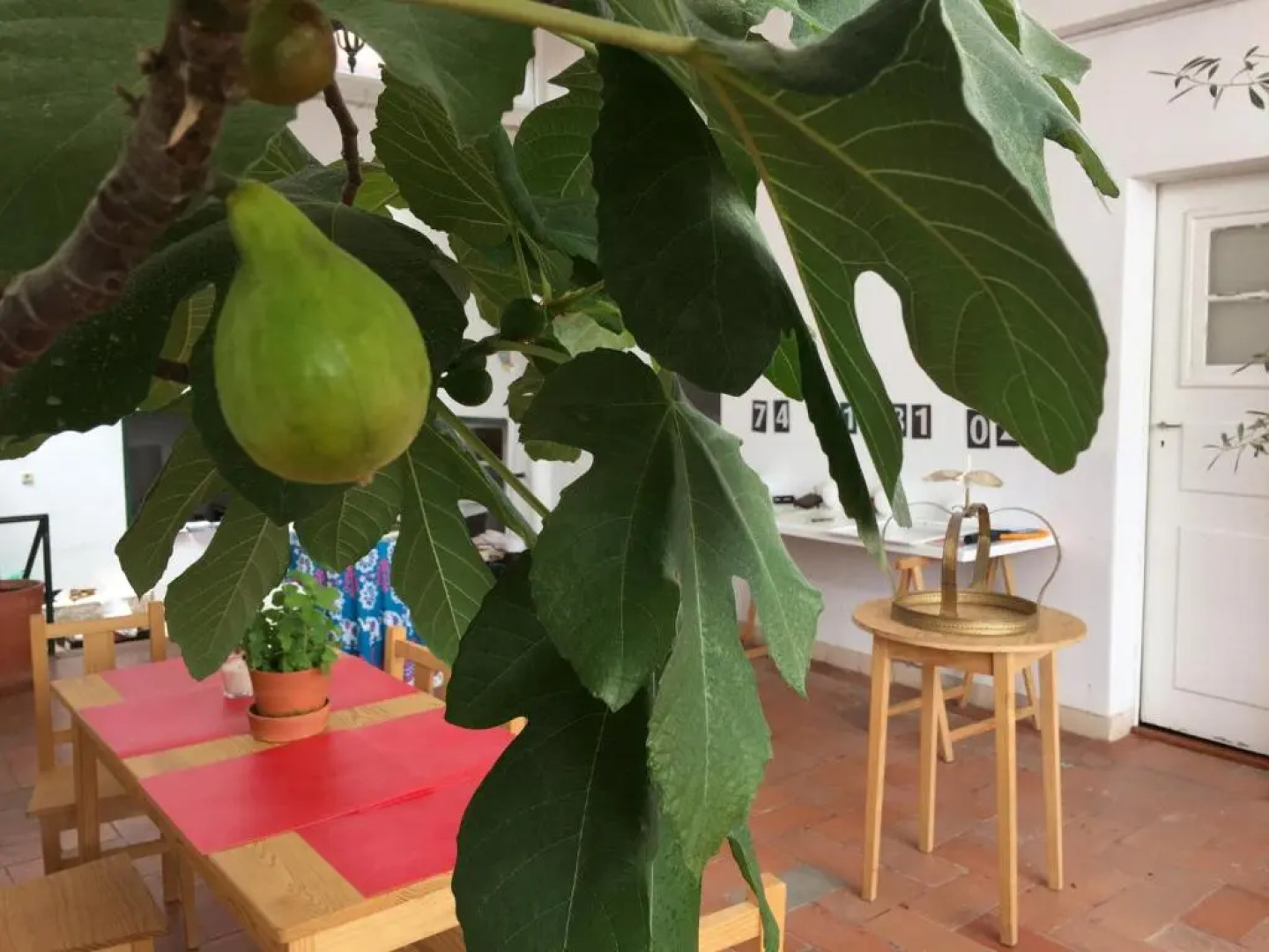 Residencial Avenida Hostel