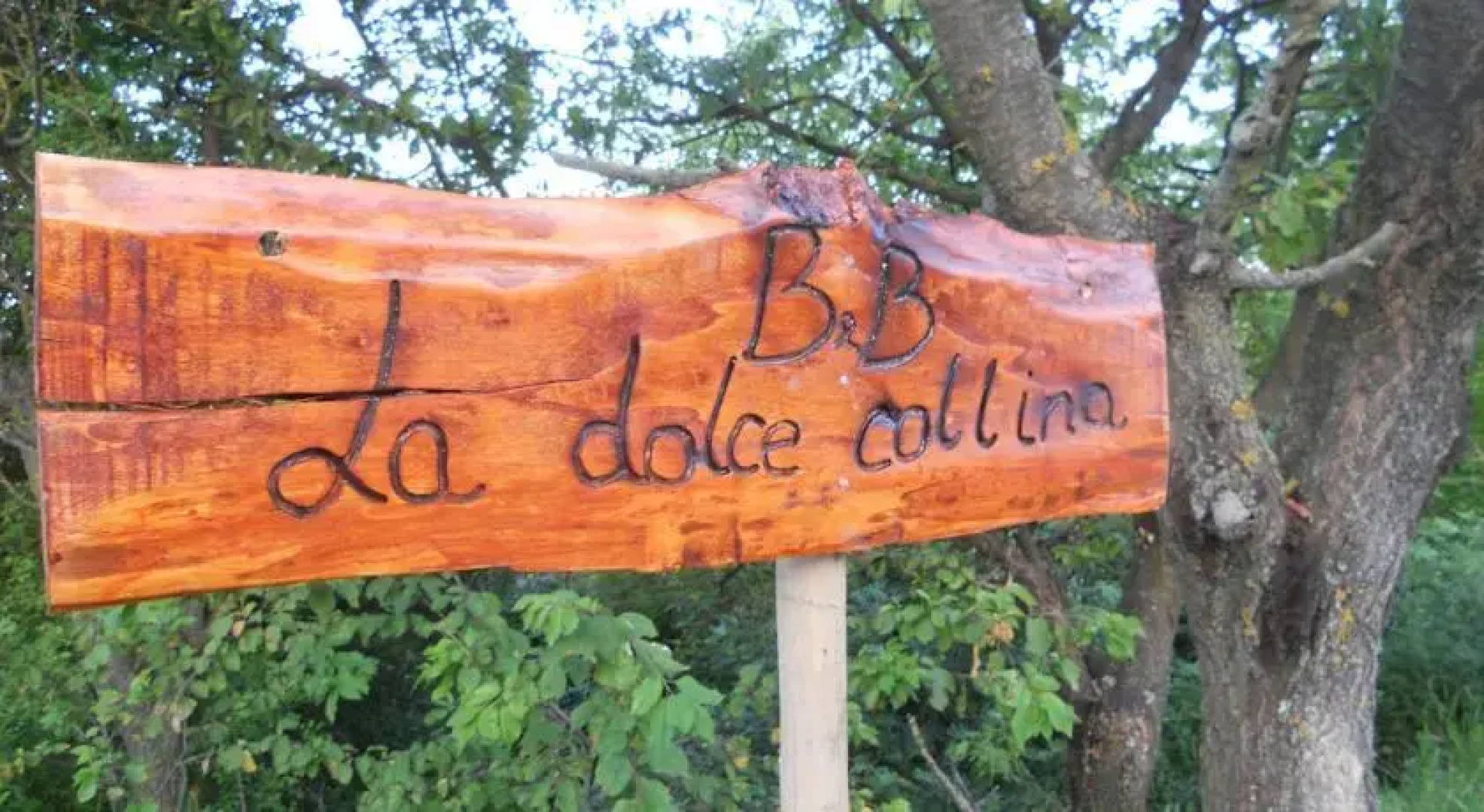 La Dolce Collina