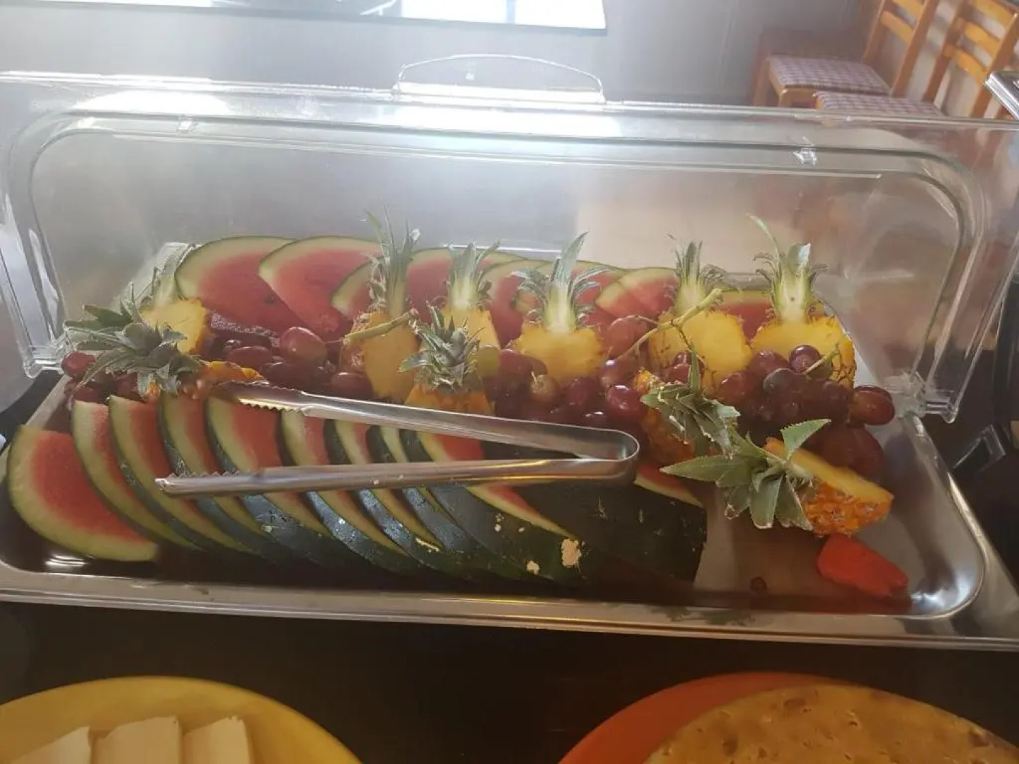 L'Oiseau de l'Océan