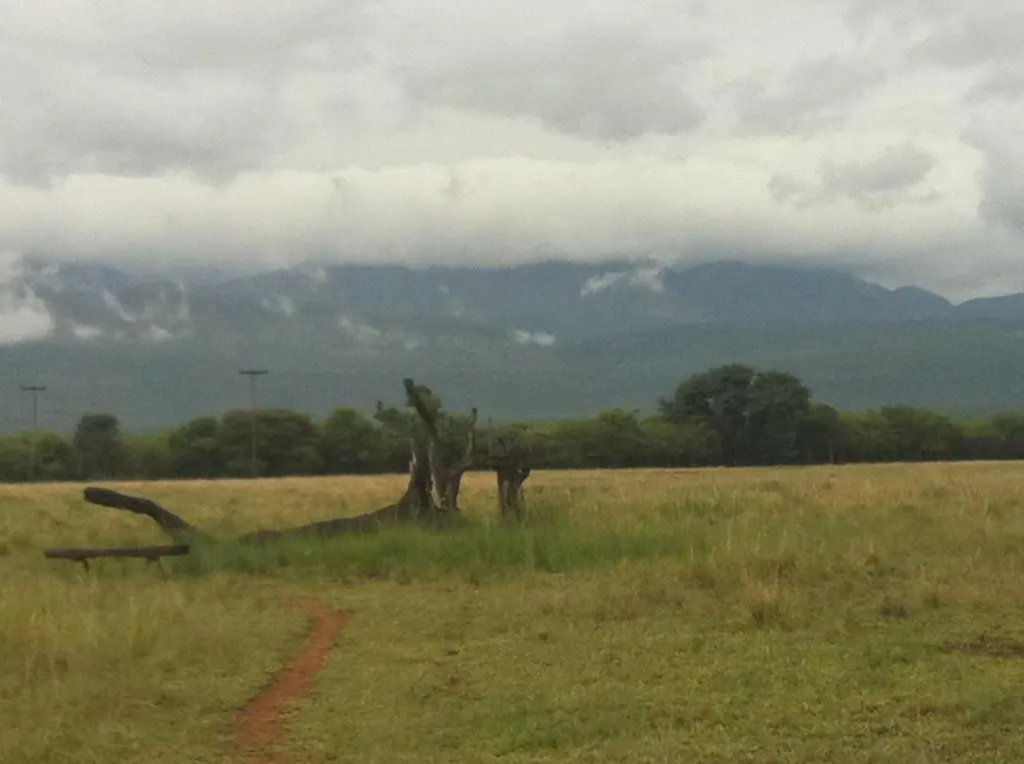 Boschfontein Guest Farm