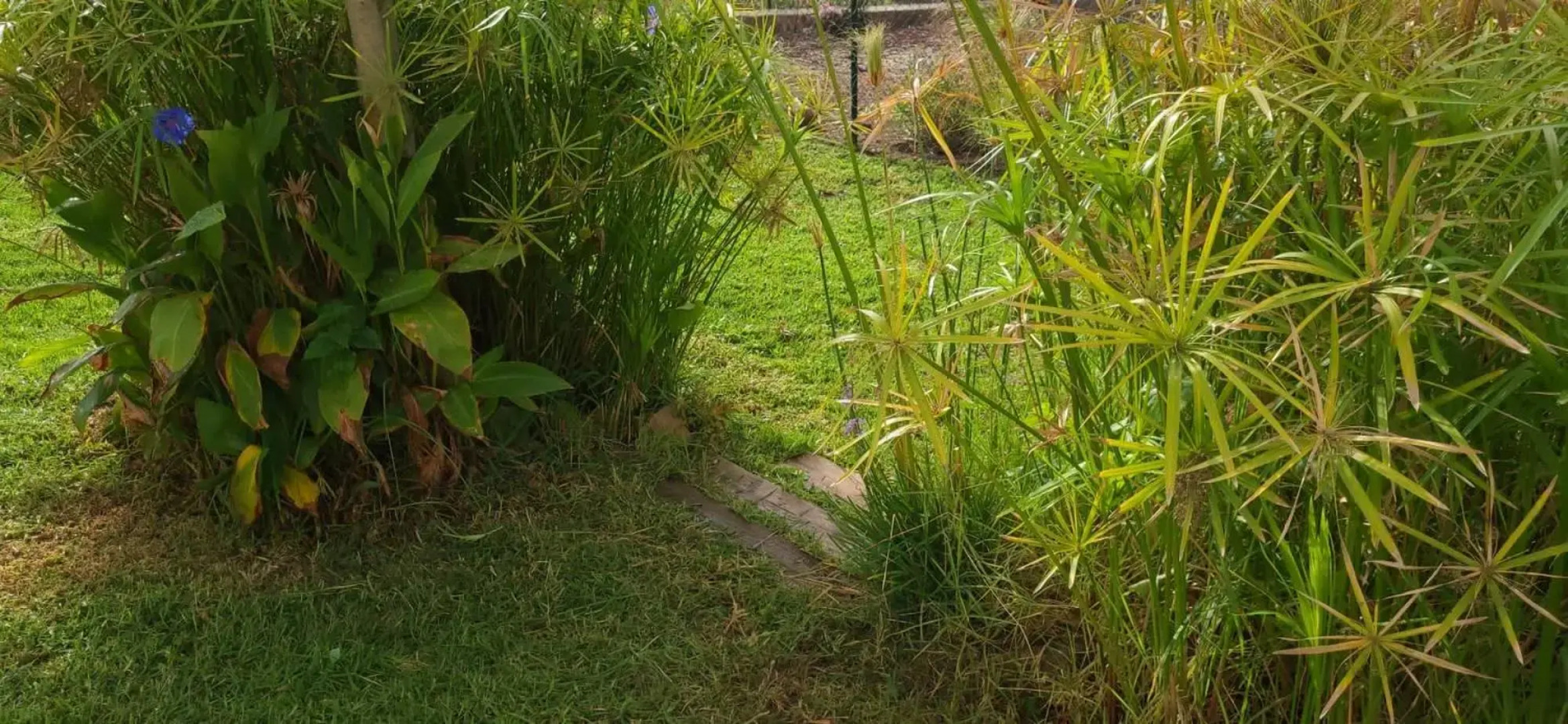 Rancho Blanco Tarifa