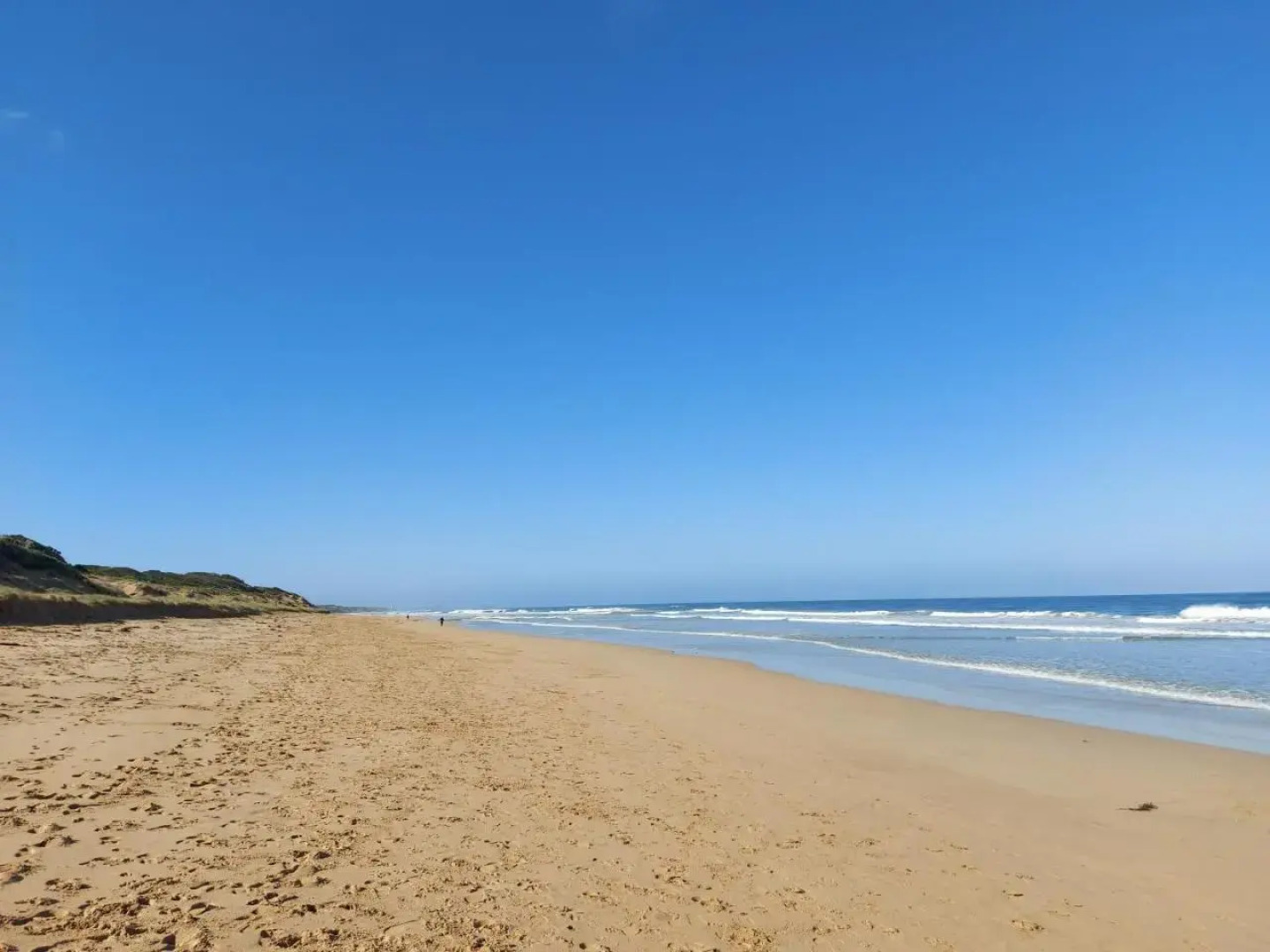 Pet friendly home perfect for 2 or 3 families