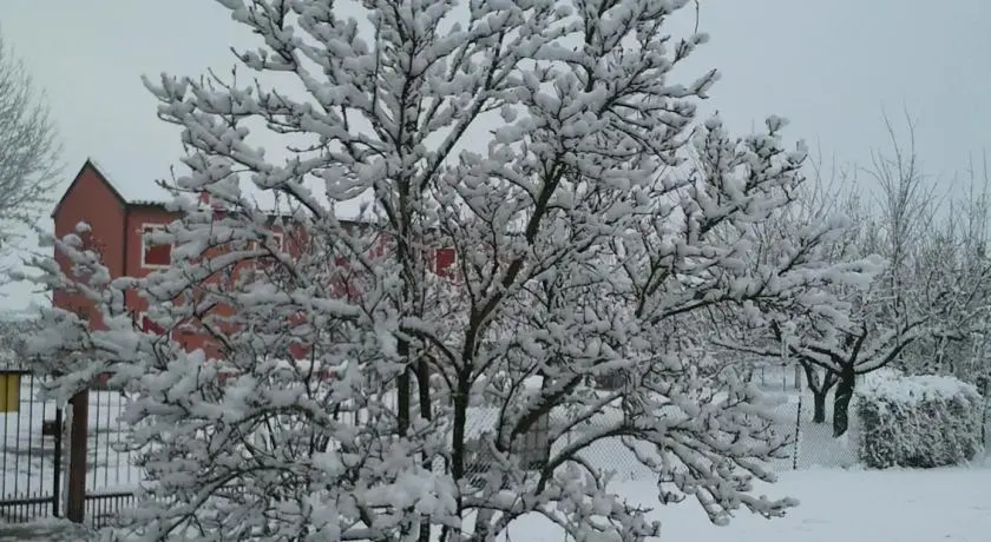 Agriturismo Palazzina