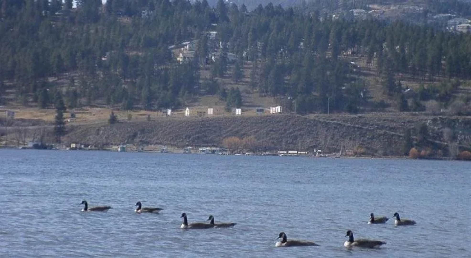 By the Bridge Bed & Breakfast