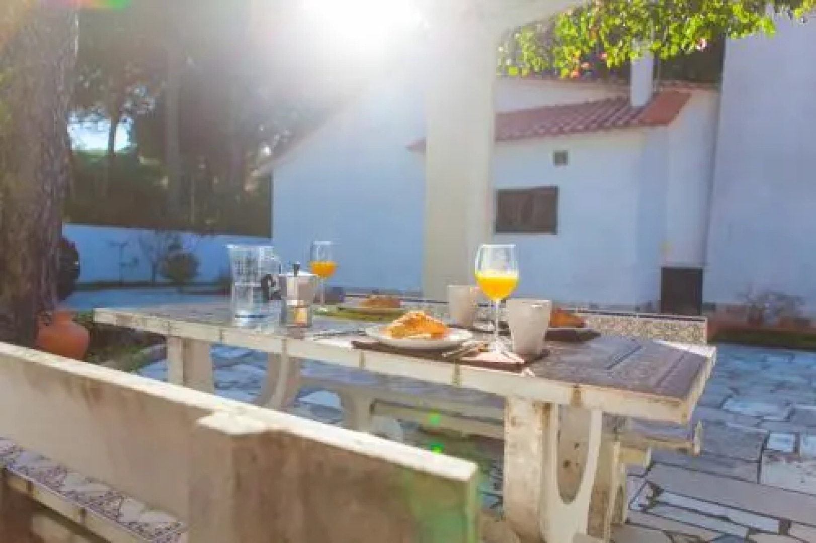 Ocean, Pines and Mountain