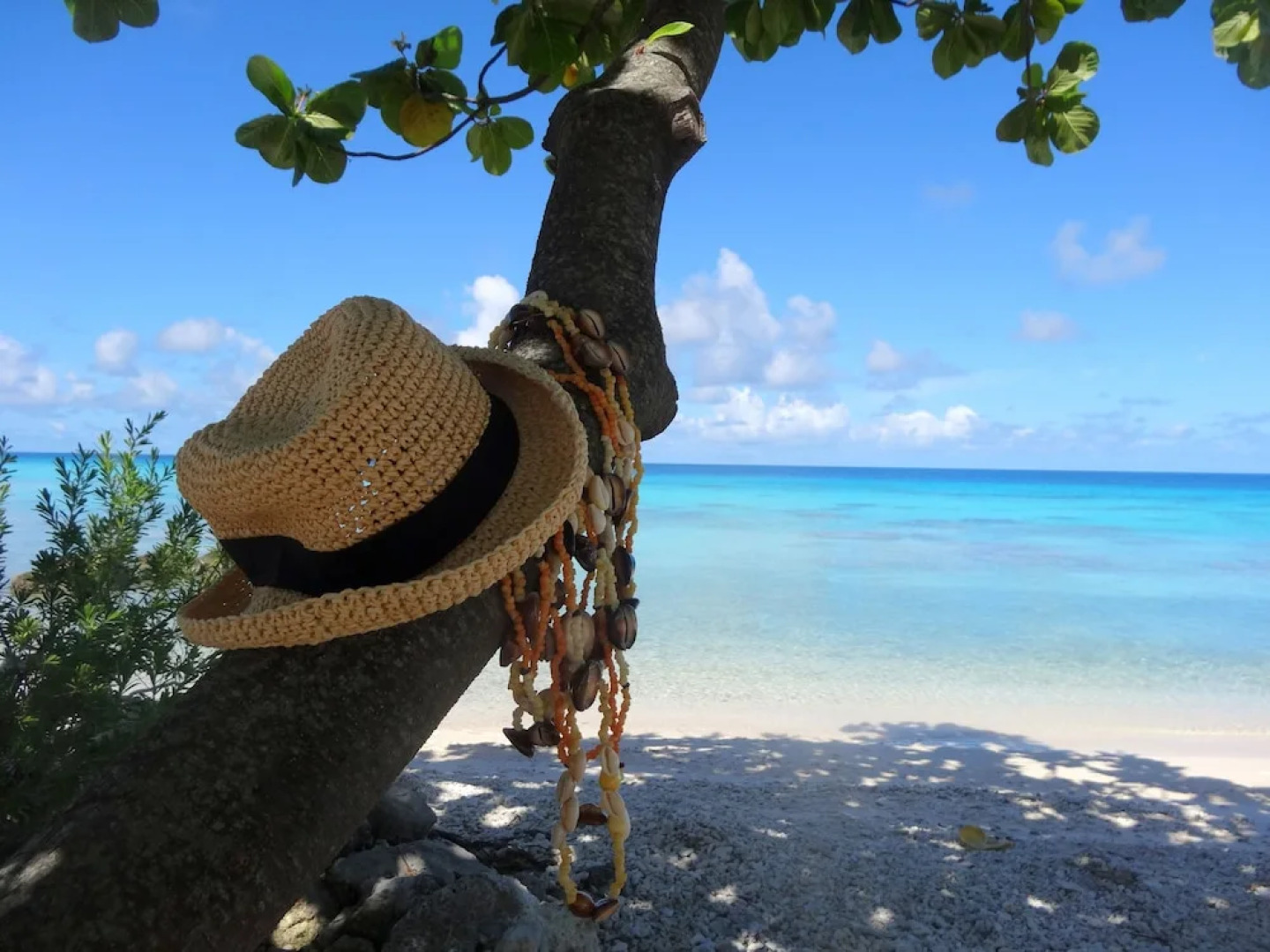 Rangiroa Tiputa Lodge B&B